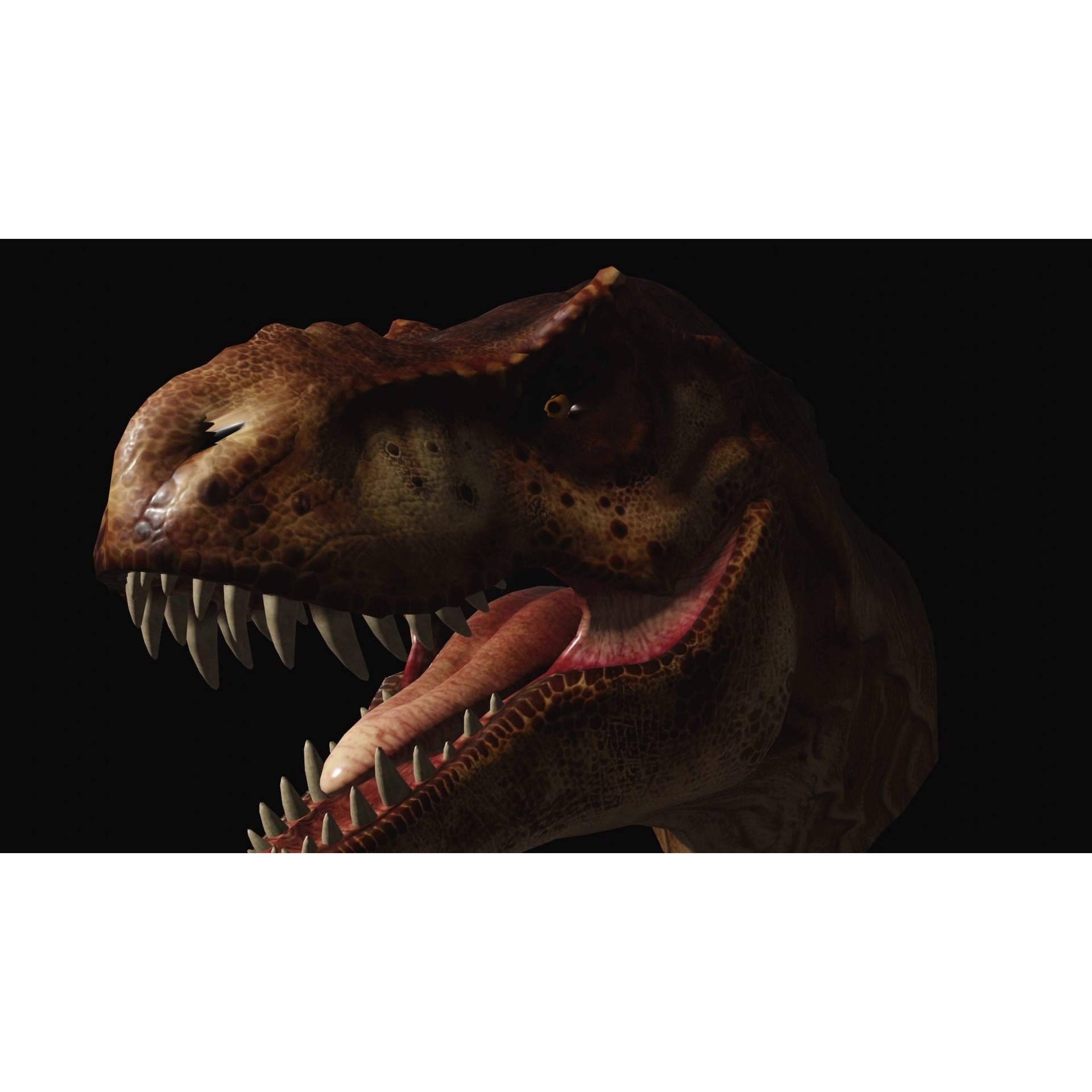 Animated dinasour head Free low-poly 3D model 6