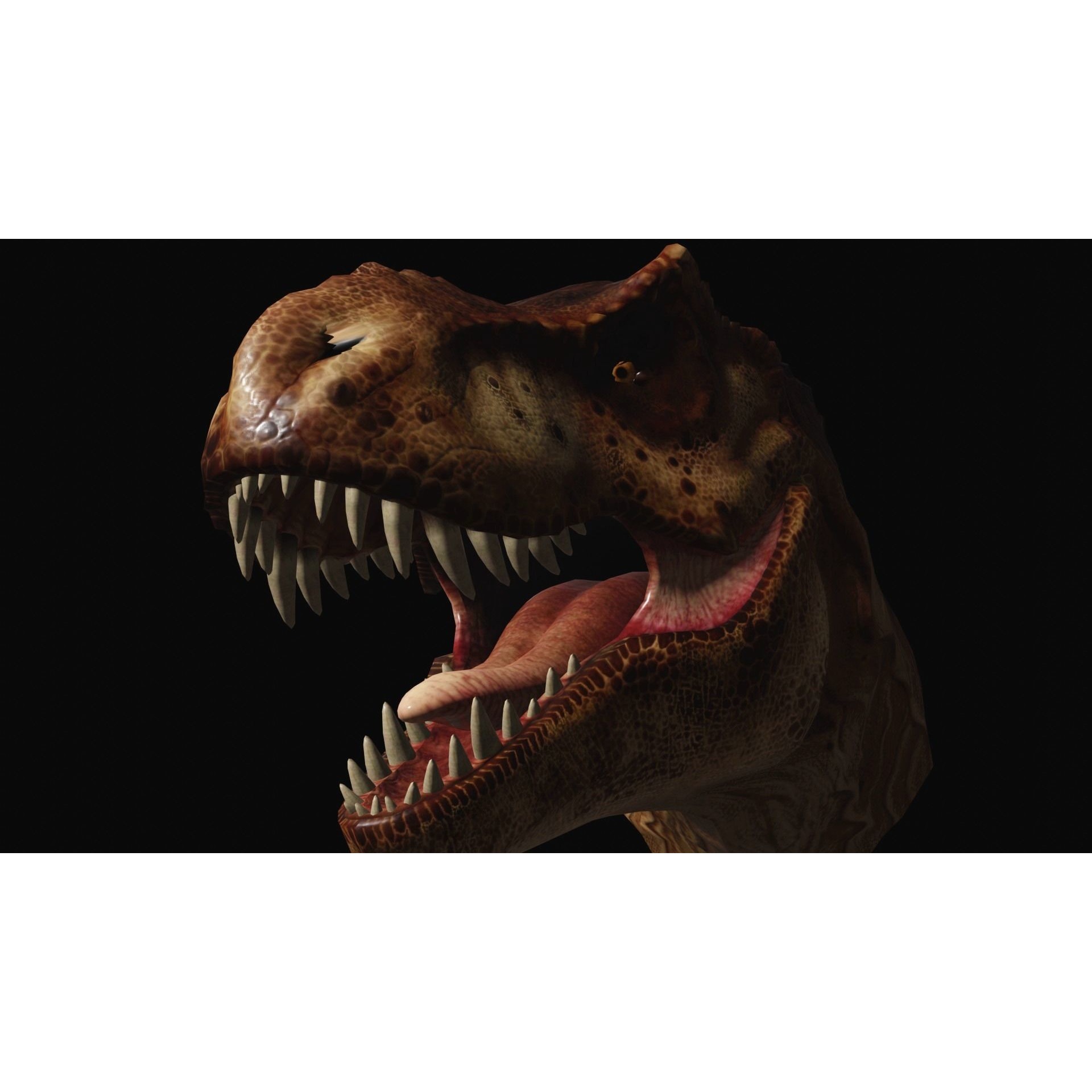 Animated dinasour head Free low-poly 3D model 7