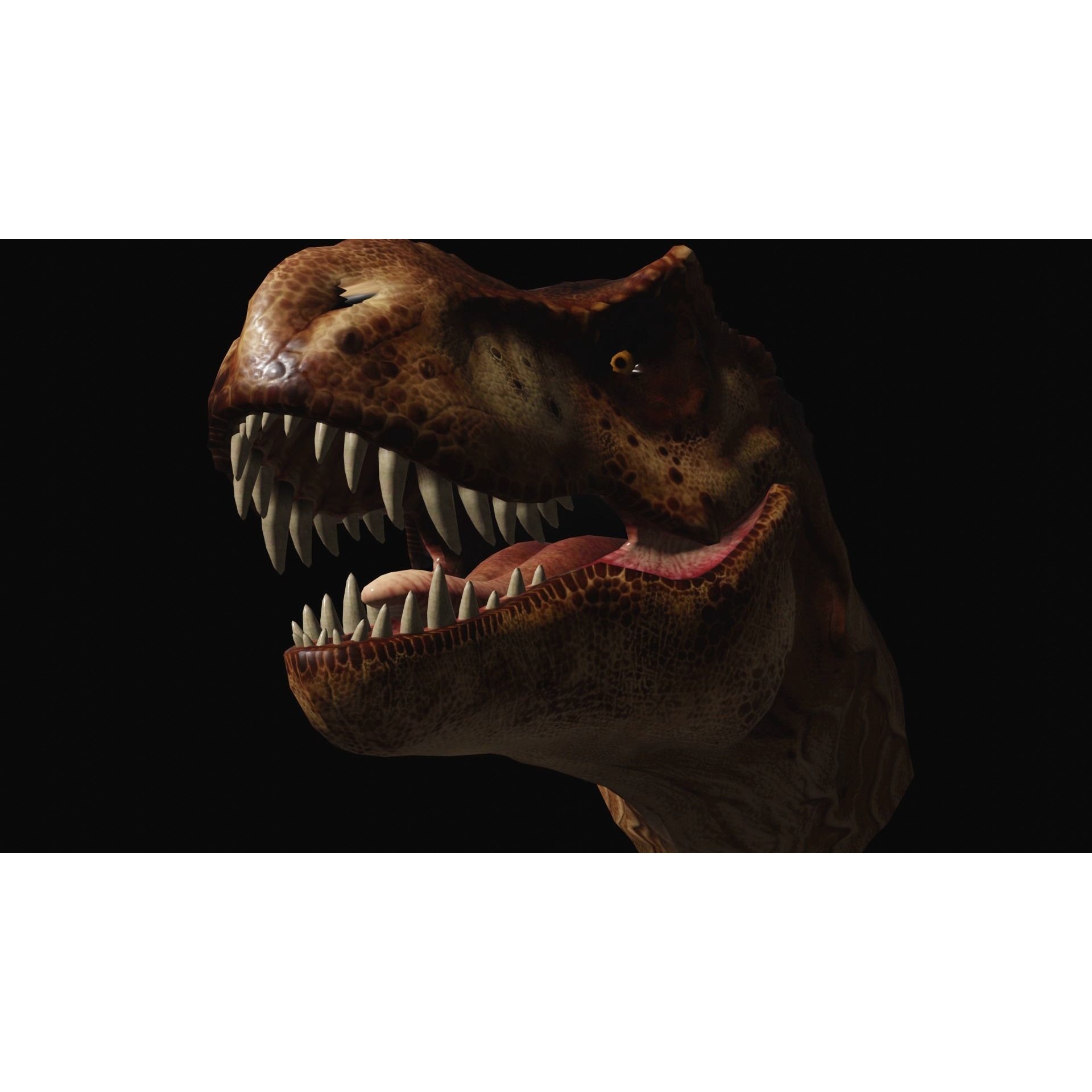Animated dinasour head Free low-poly 3D model 8