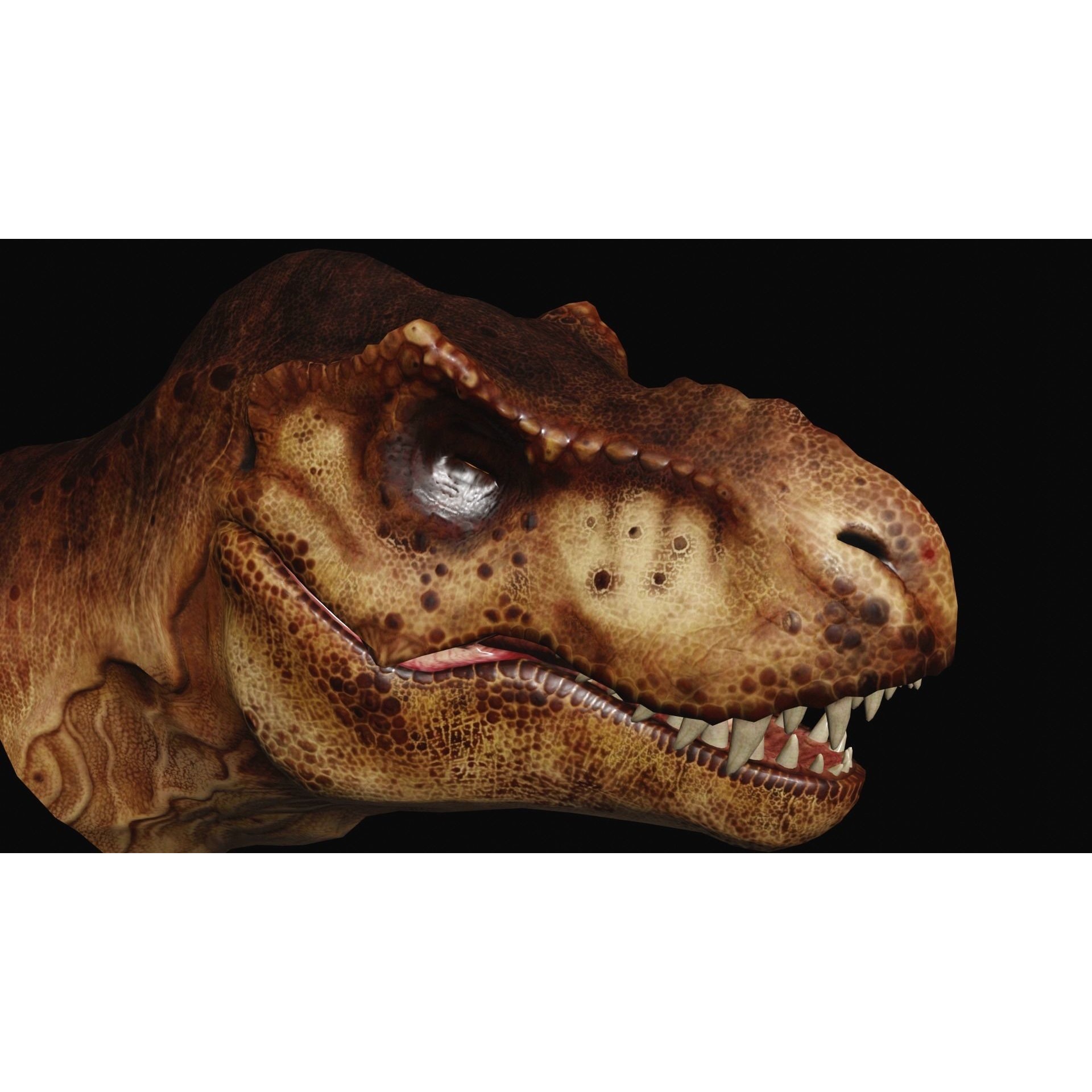 Animated dinasour head Free low-poly 3D model 9
