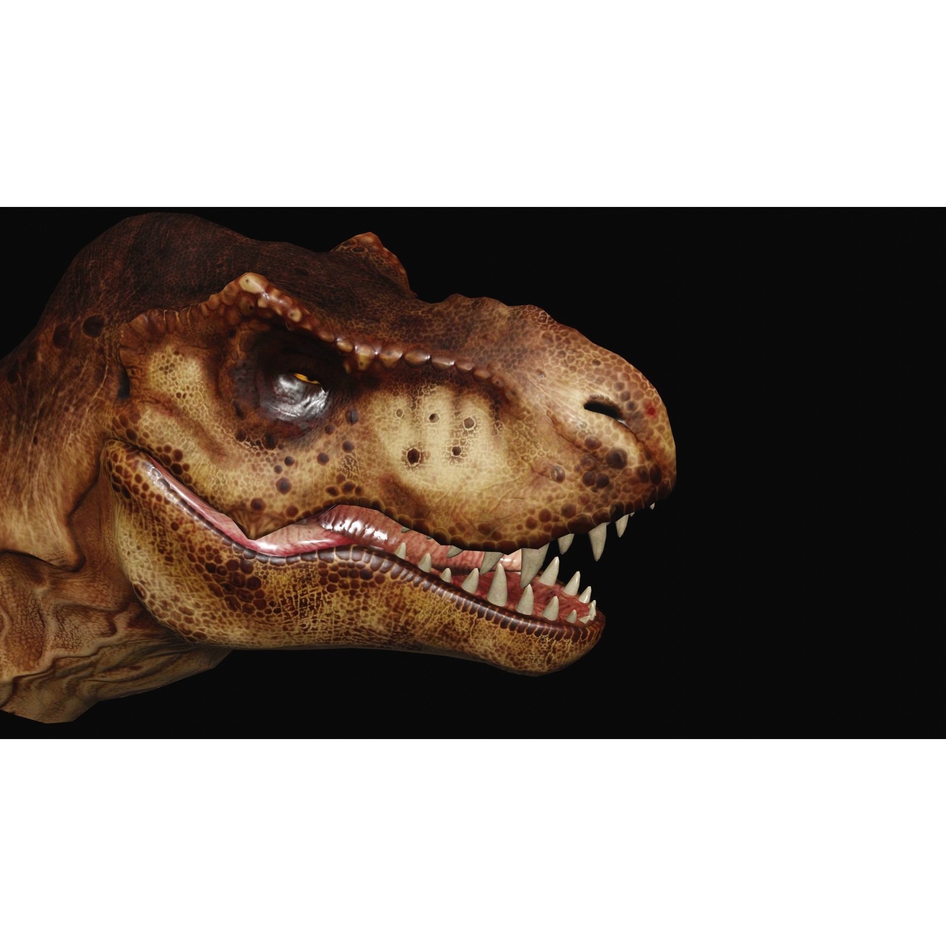 Animated dinasour head Free low-poly 3D model 10
