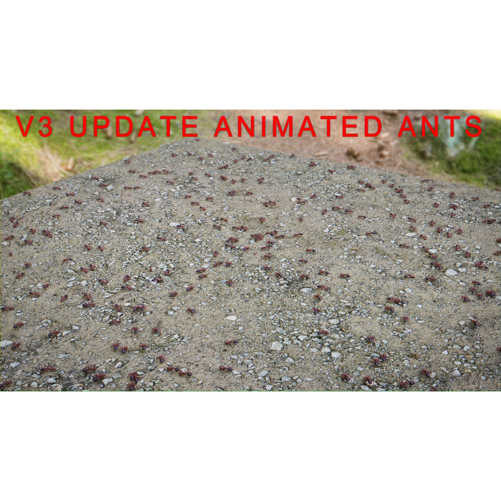 Ant 3D Animated Low-poly 3D model 6