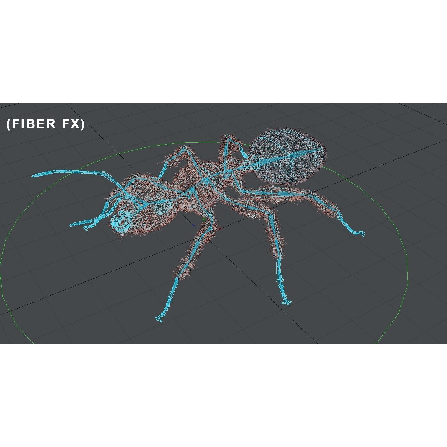 Ant 3D Animated Low-poly 3D model 7