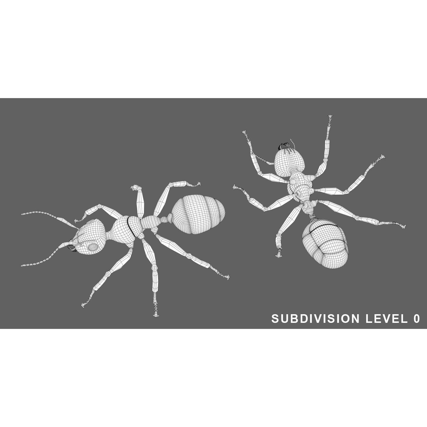 Ant 3D Animated Low-poly 3D model 9