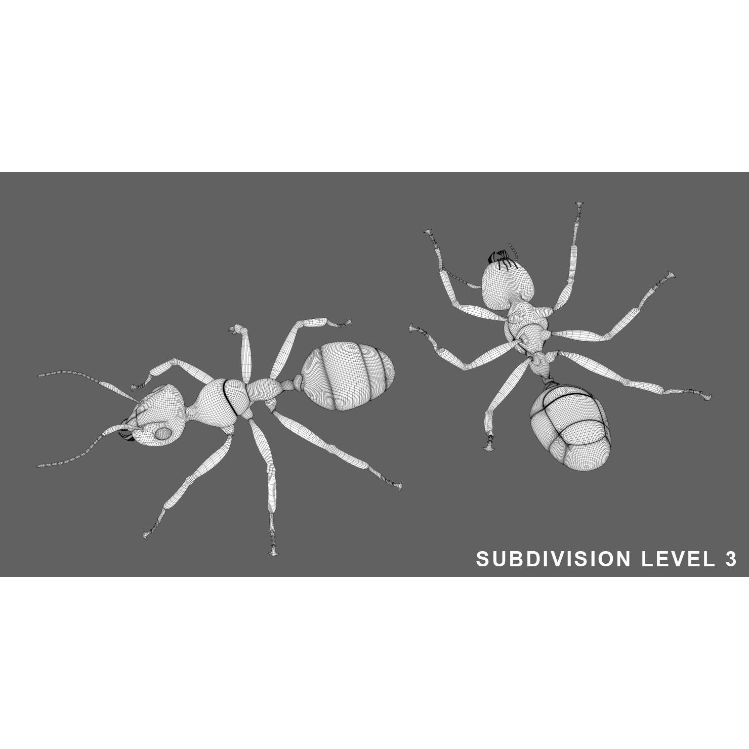 Ant 3D Animated Low-poly 3D model 10