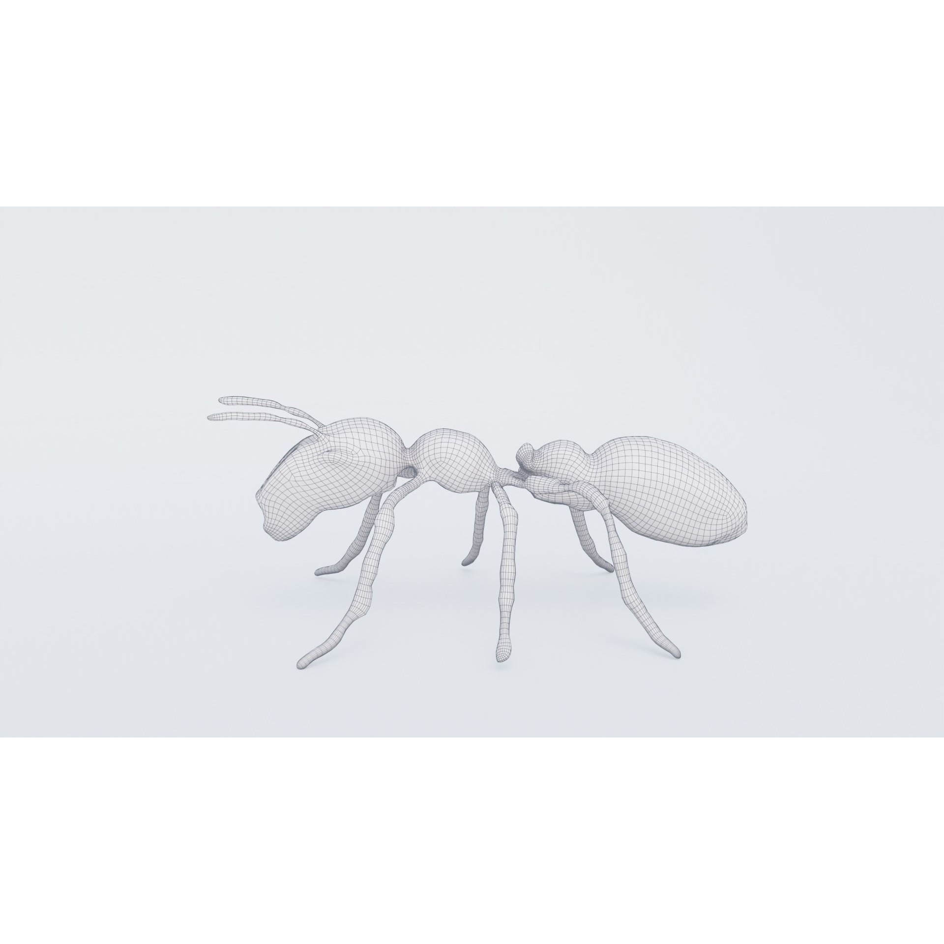 Ant Animal Free 3D model 7