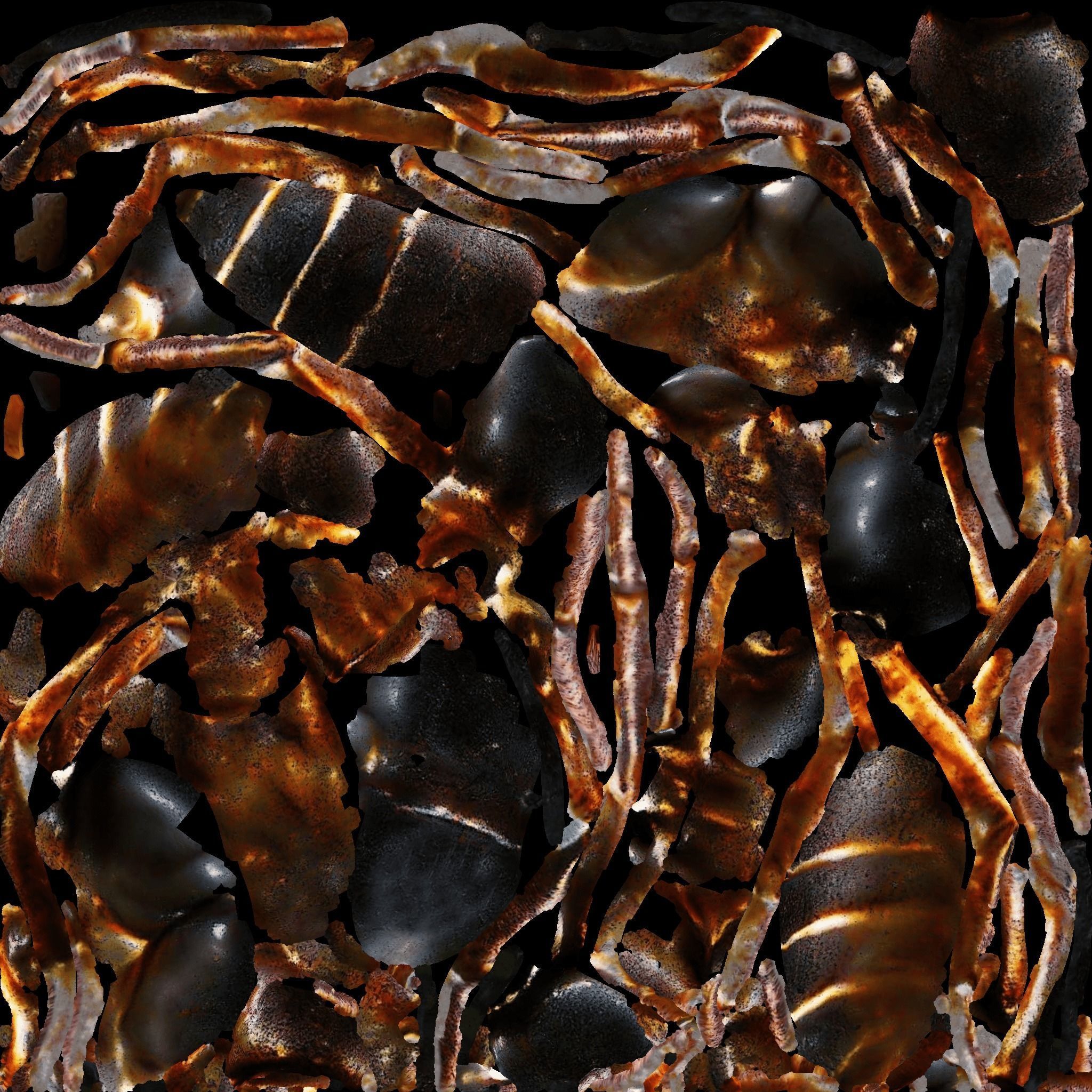 Ant Animal Free 3D model 8