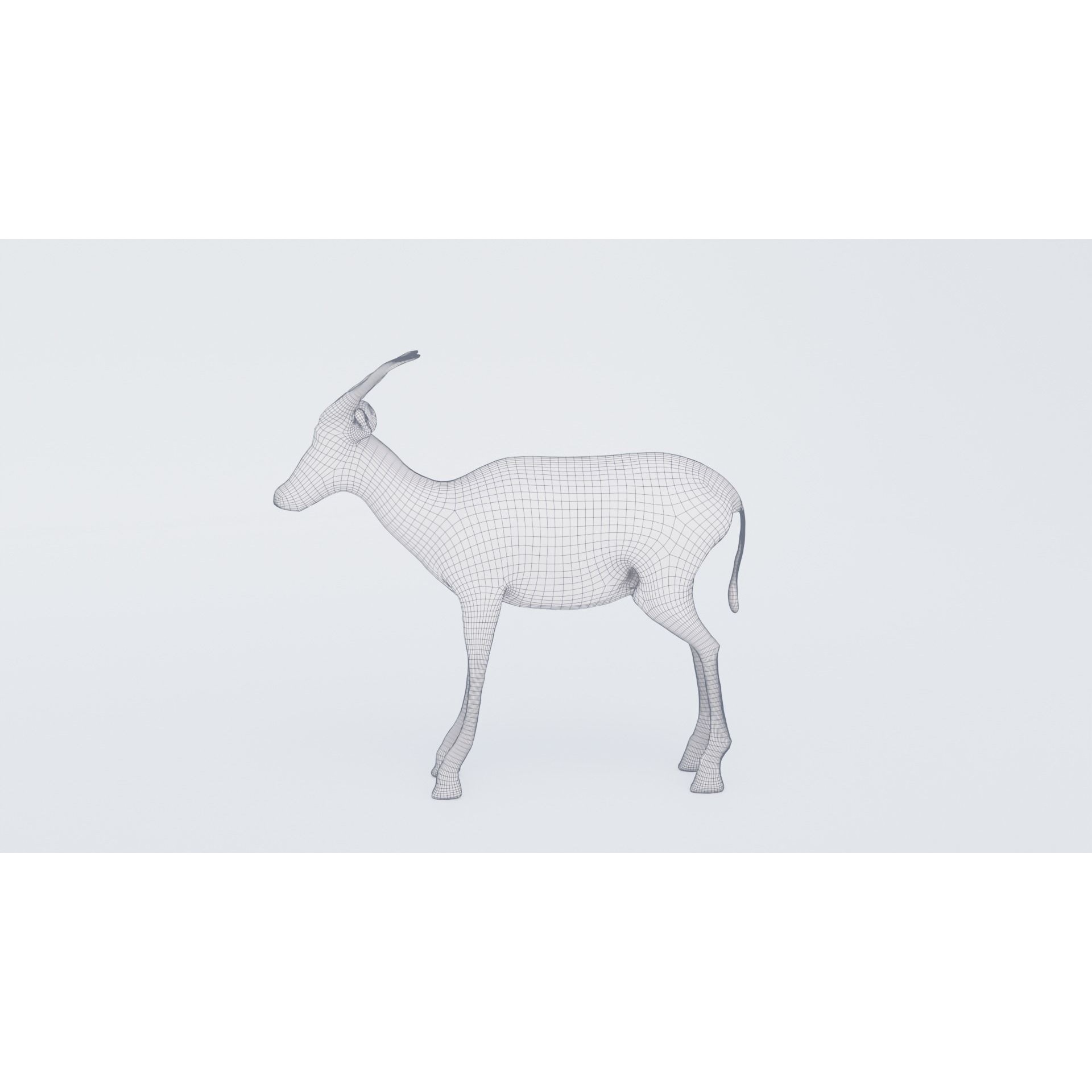 Antelope Free 3D model 7