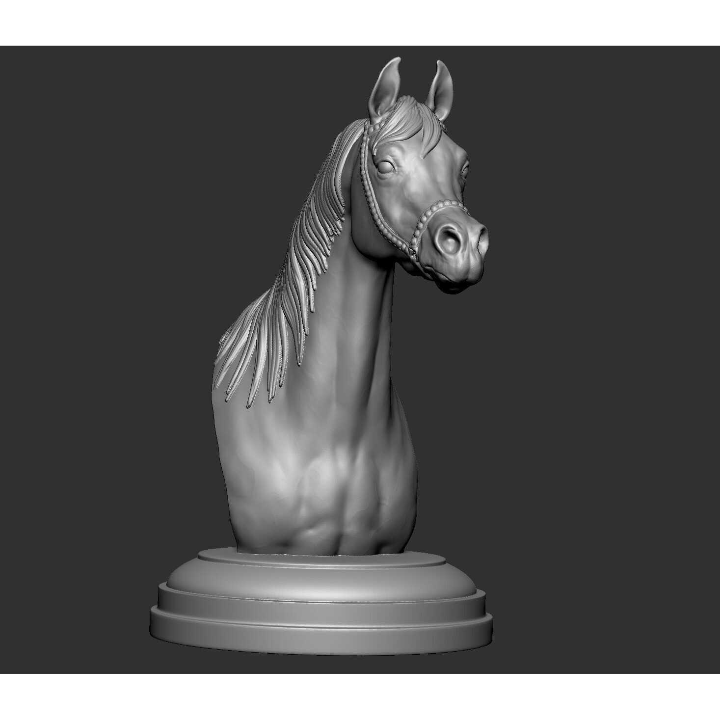 Arabian horse bust Free 3D print model 2