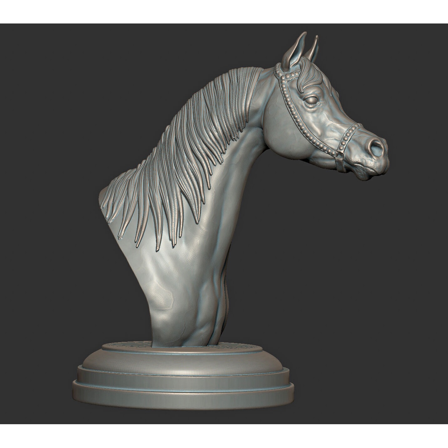 Arabian horse bust Free 3D print model 3