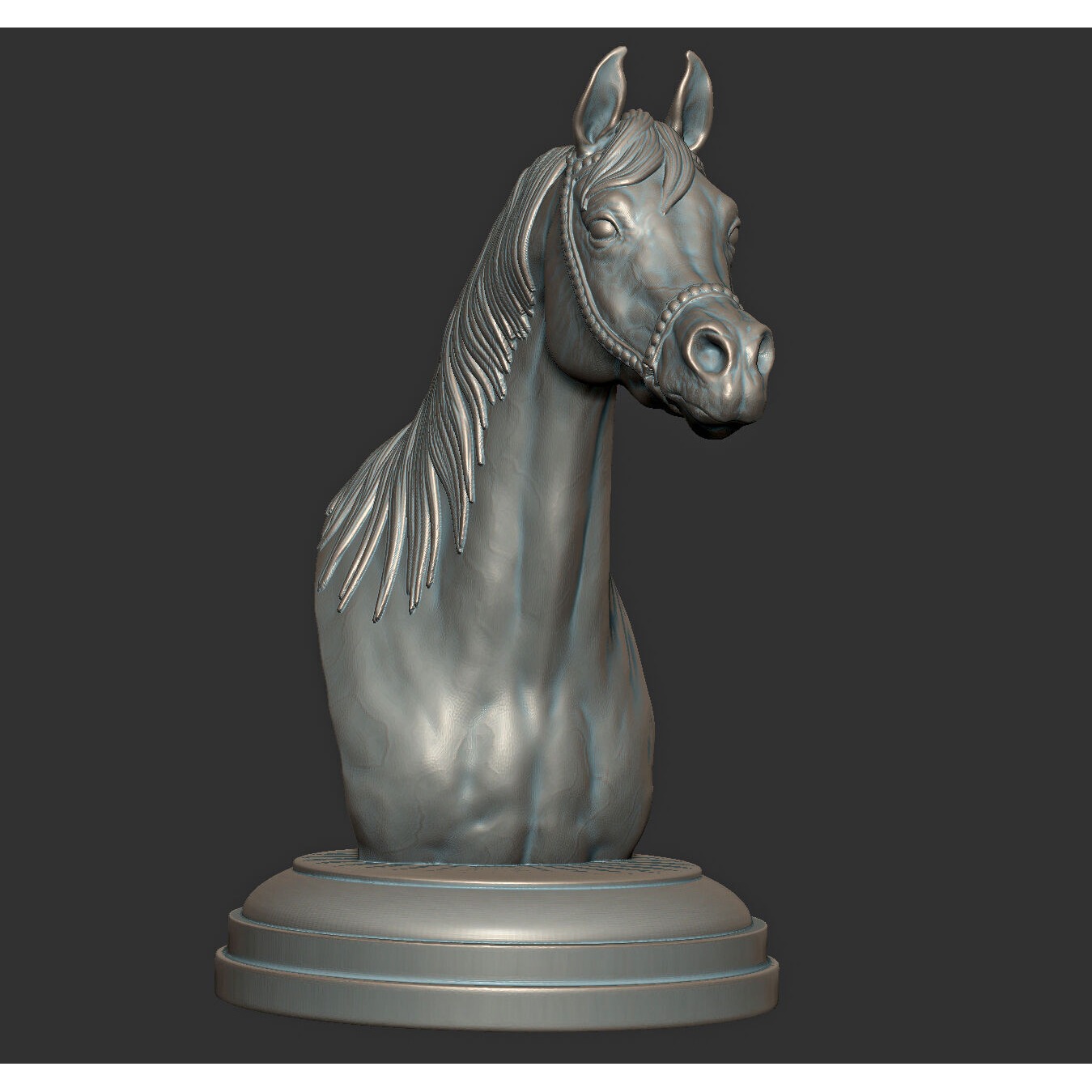 Arabian horse bust Free 3D print model 4