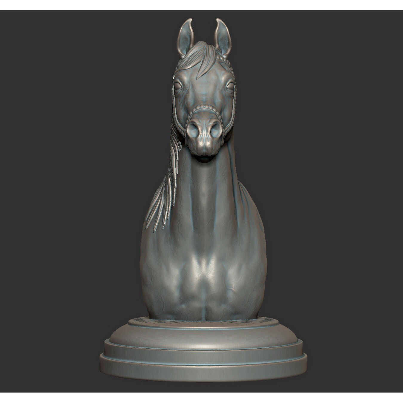 Arabian horse bust Free 3D print model 5