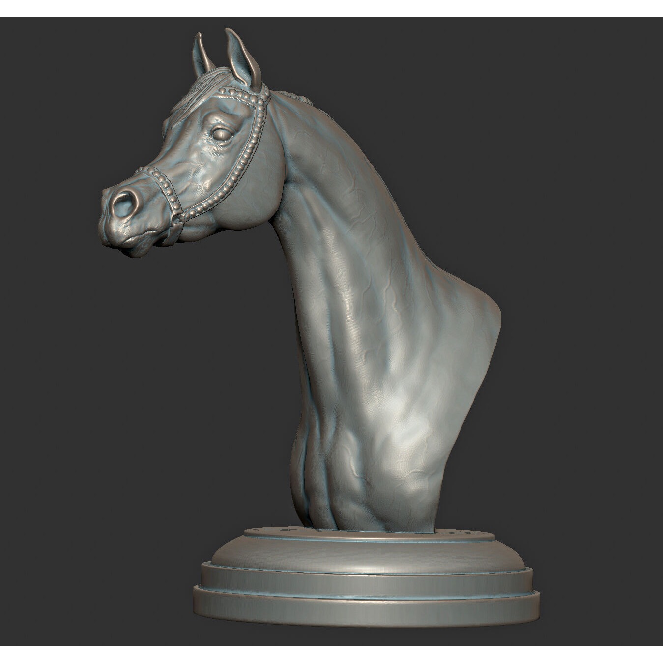 Arabian horse bust Free 3D print model 6