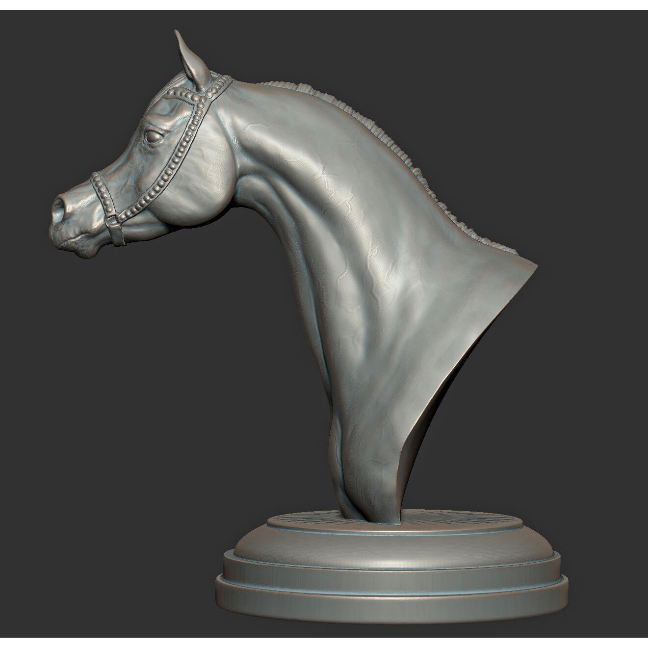 Arabian horse bust Free 3D print model 7