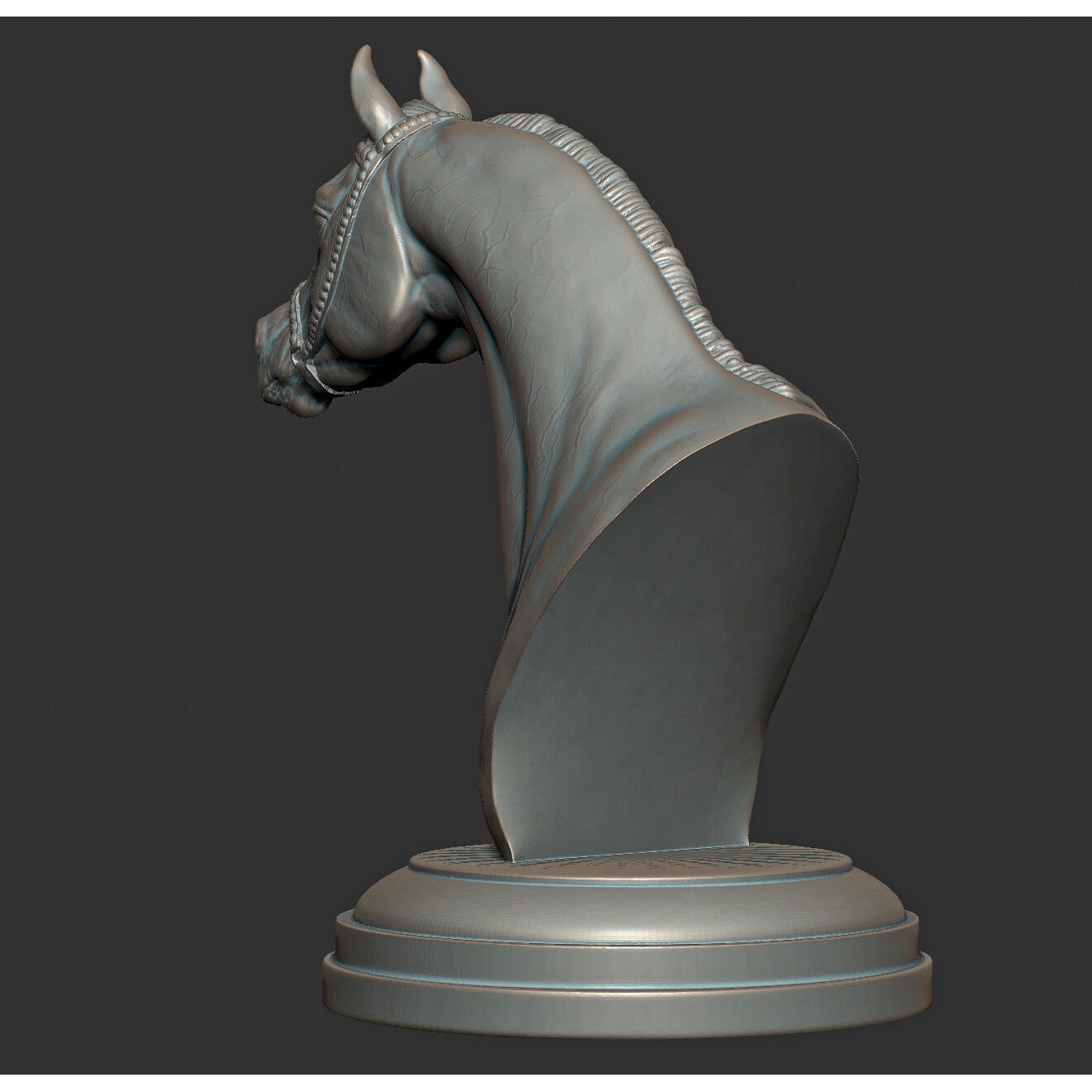 Arabian horse bust Free 3D print model 8