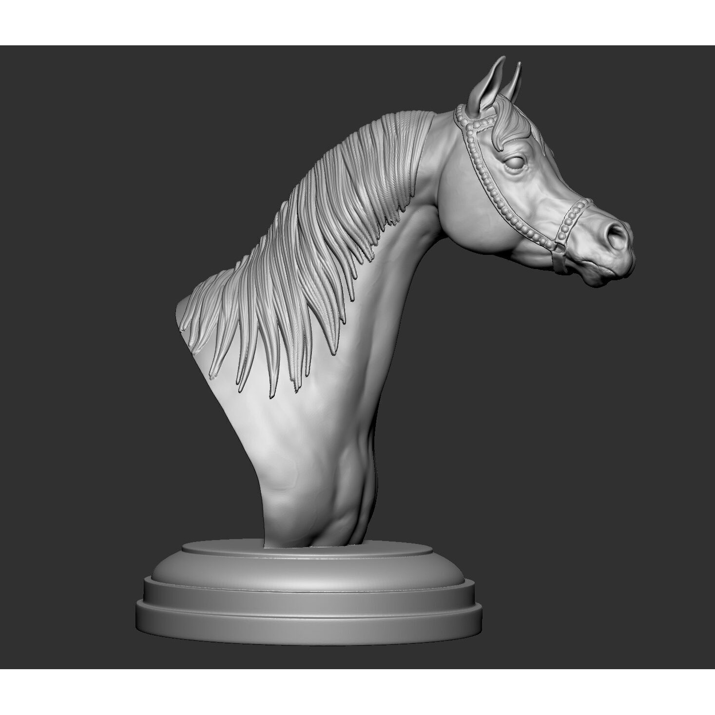 Arabian horse bust Free 3D print model 9
