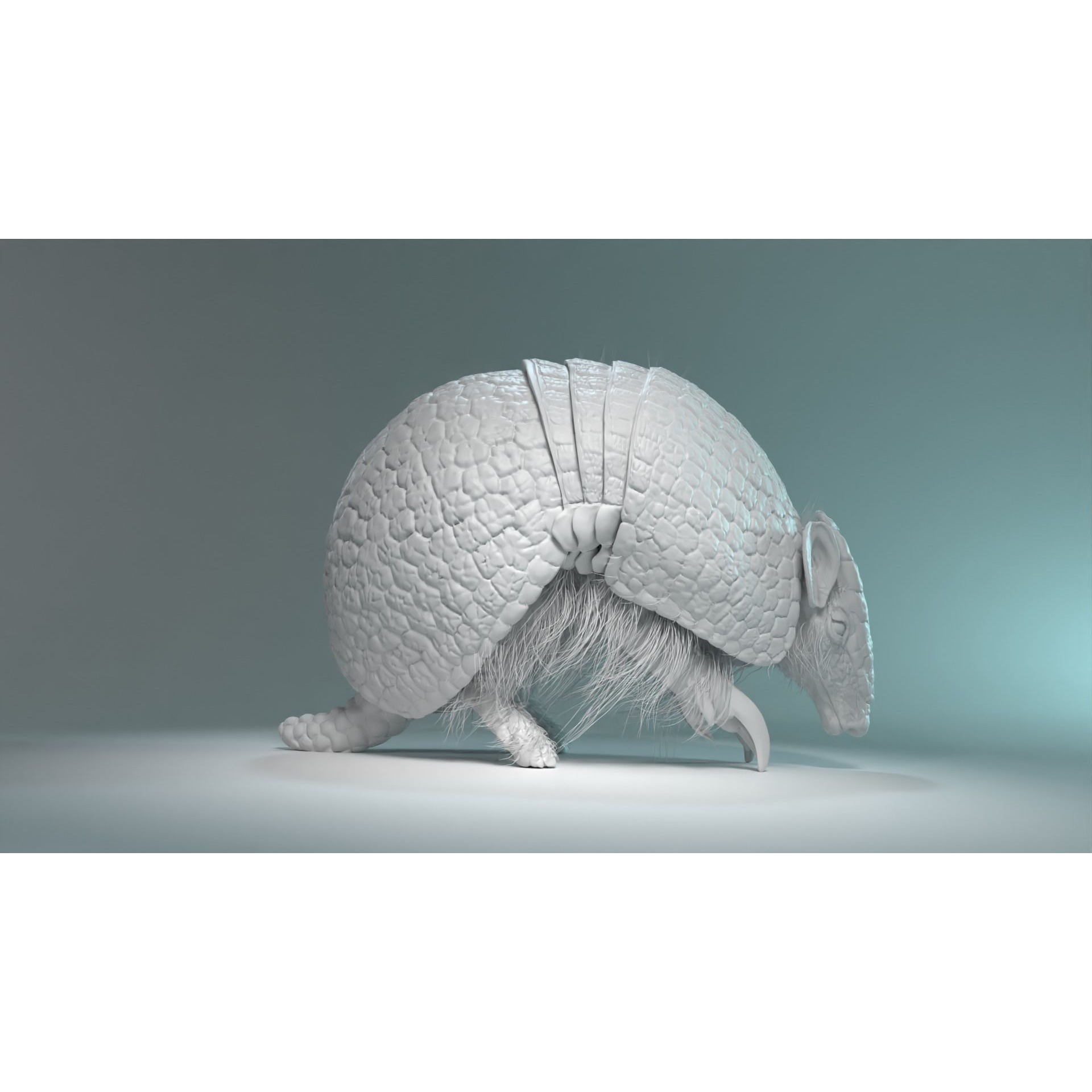 Armadillo Animated VFX Grace 3D model 10