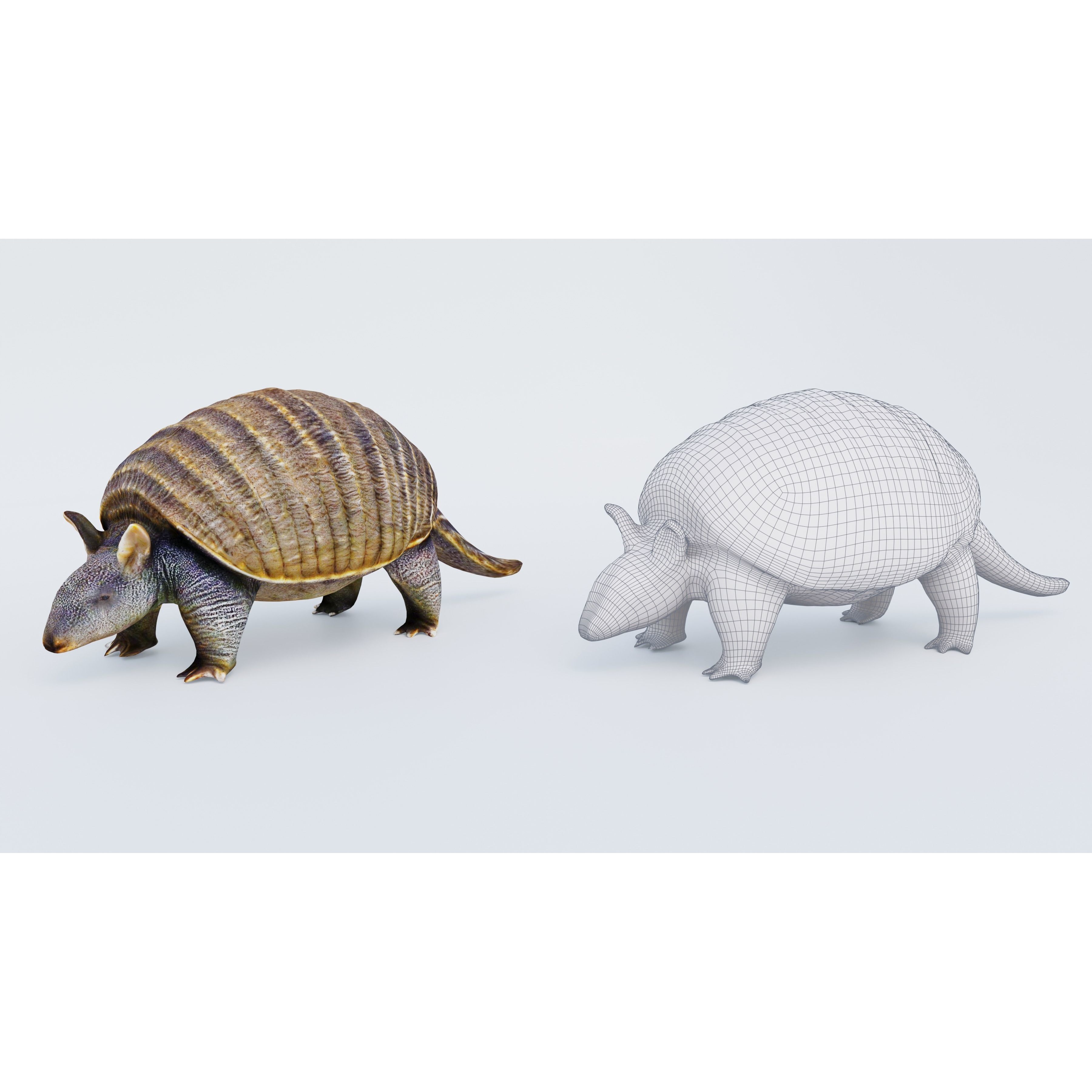 Armadillo Free 3D model 6