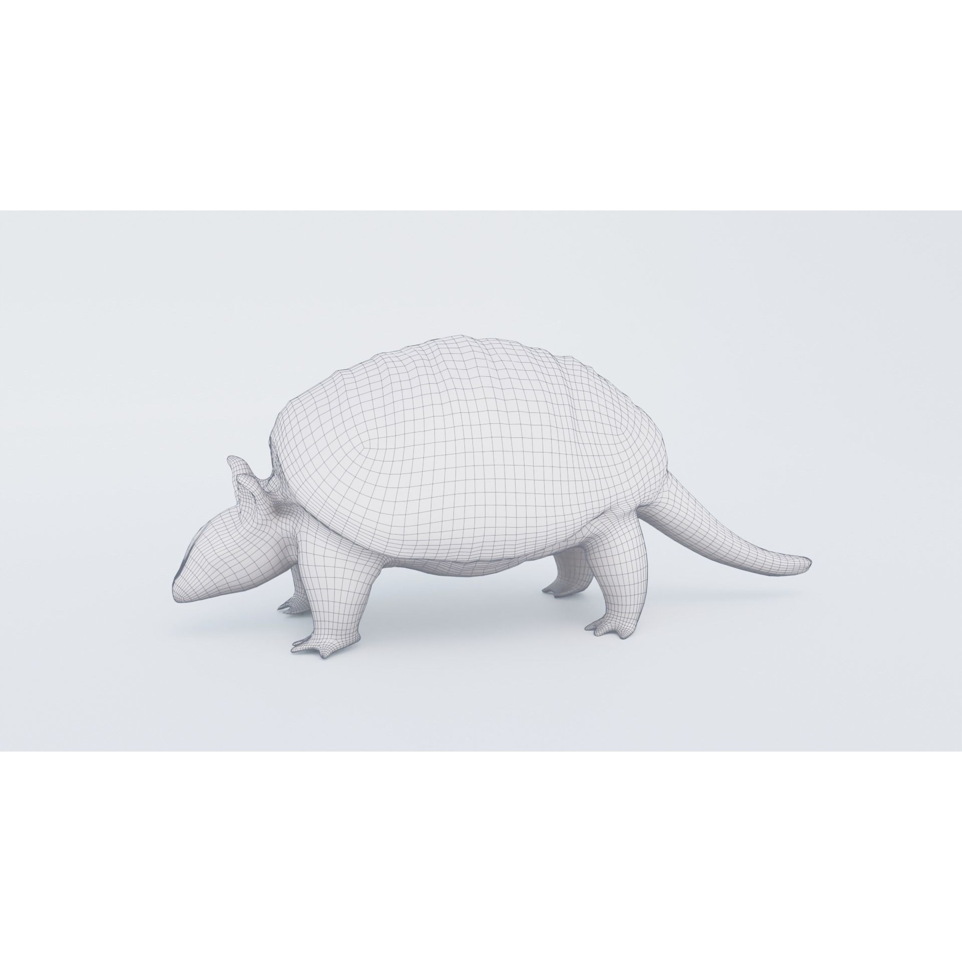 Armadillo Free 3D model 7