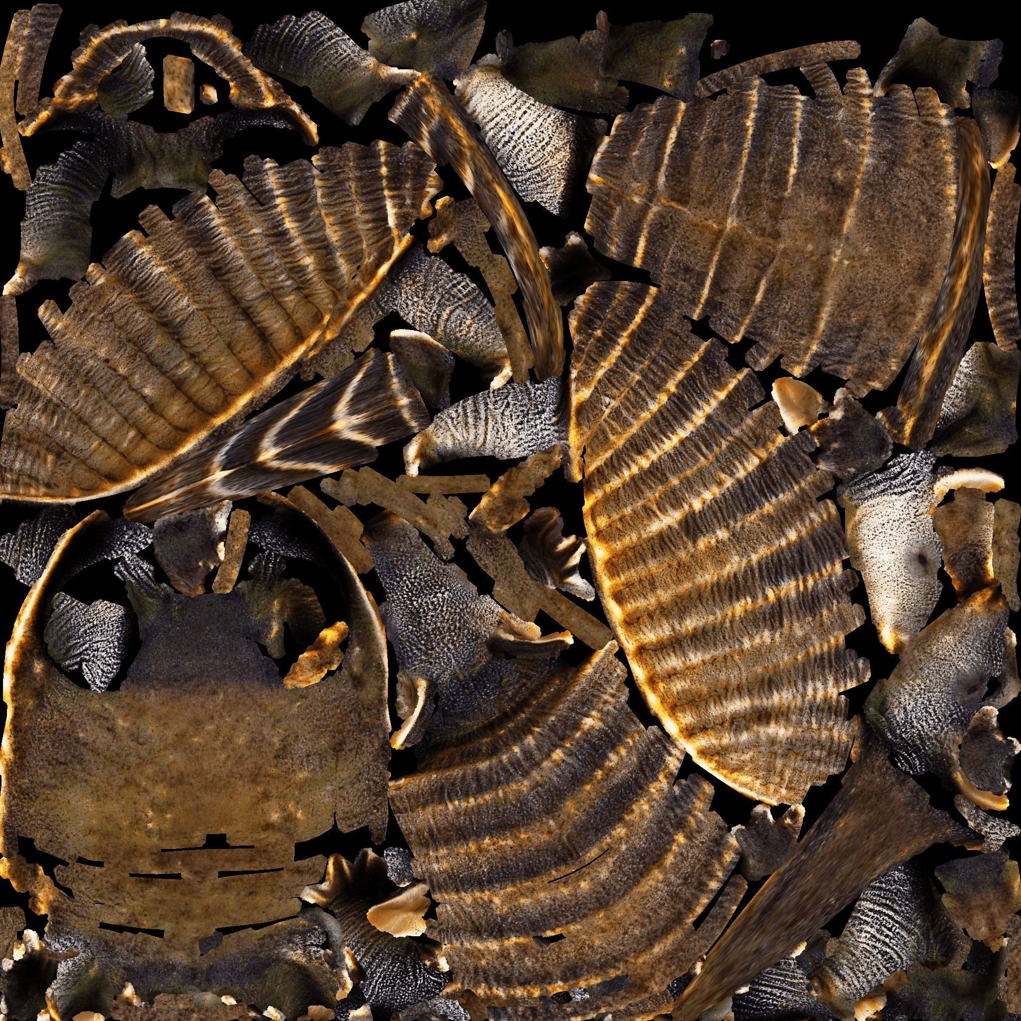Armadillo Free 3D model 8