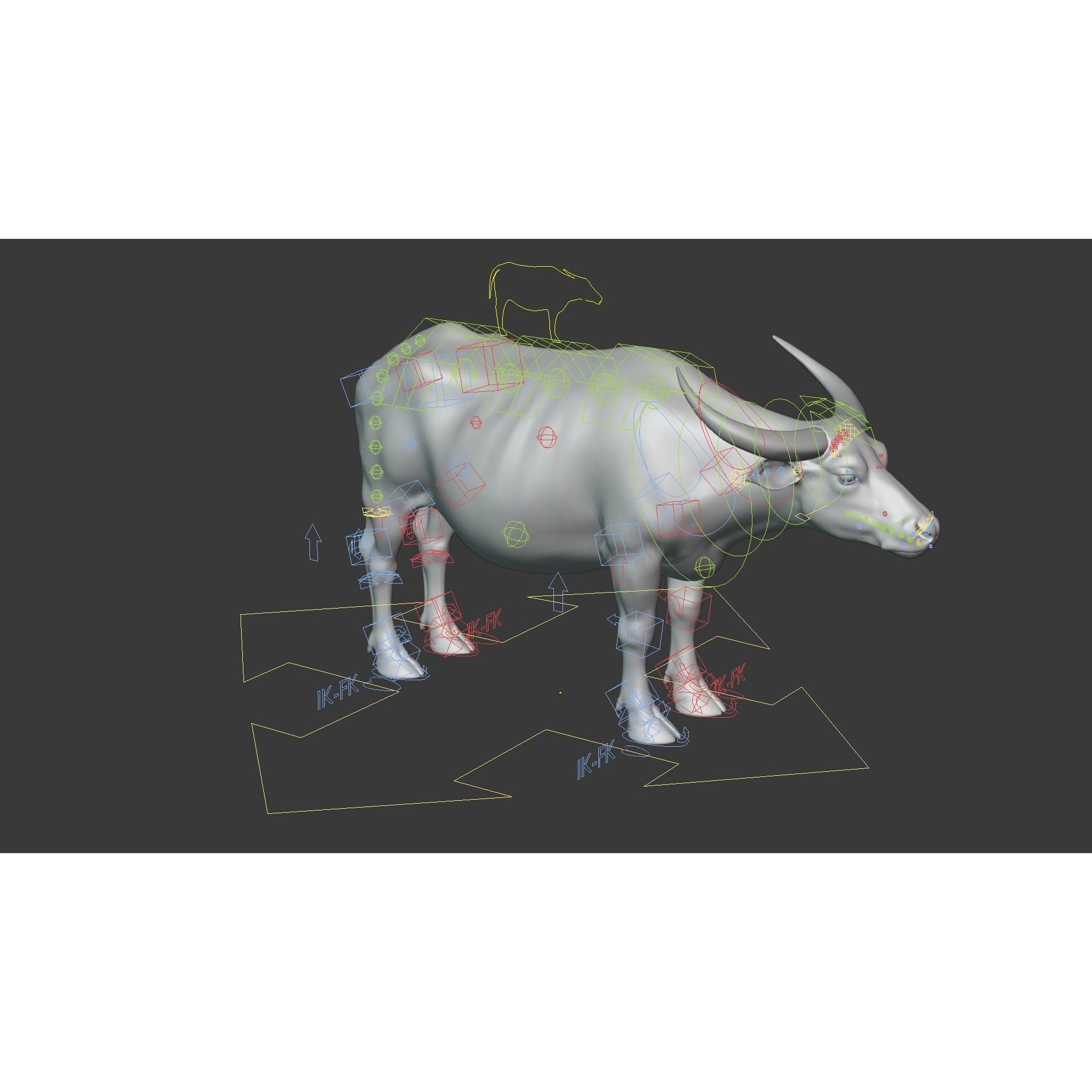 Asian Buffalo 3D model 7