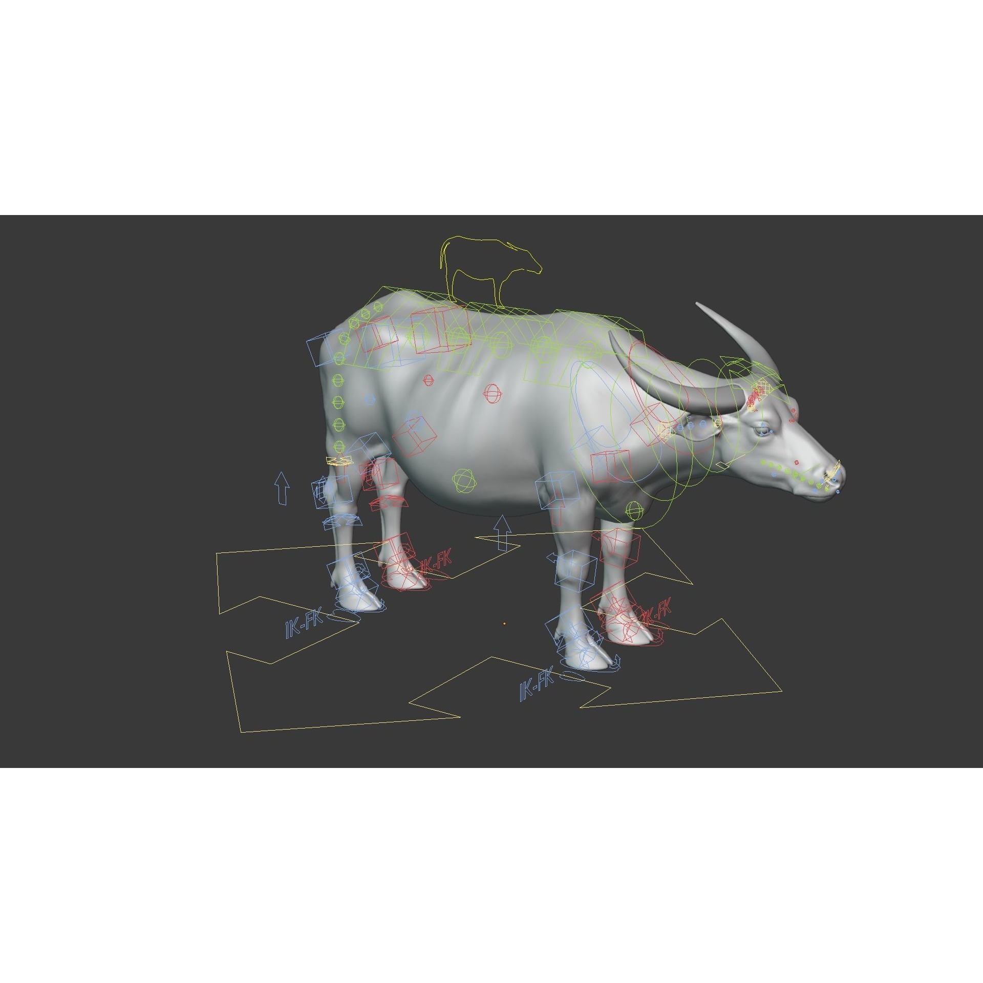 Asian Buffalo 3D model 8