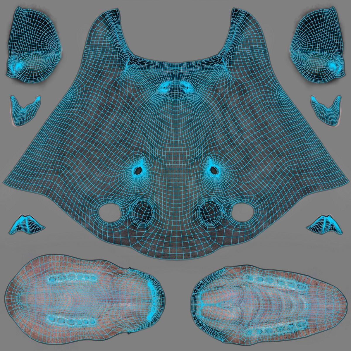 Asian Buffalo 3D model 10