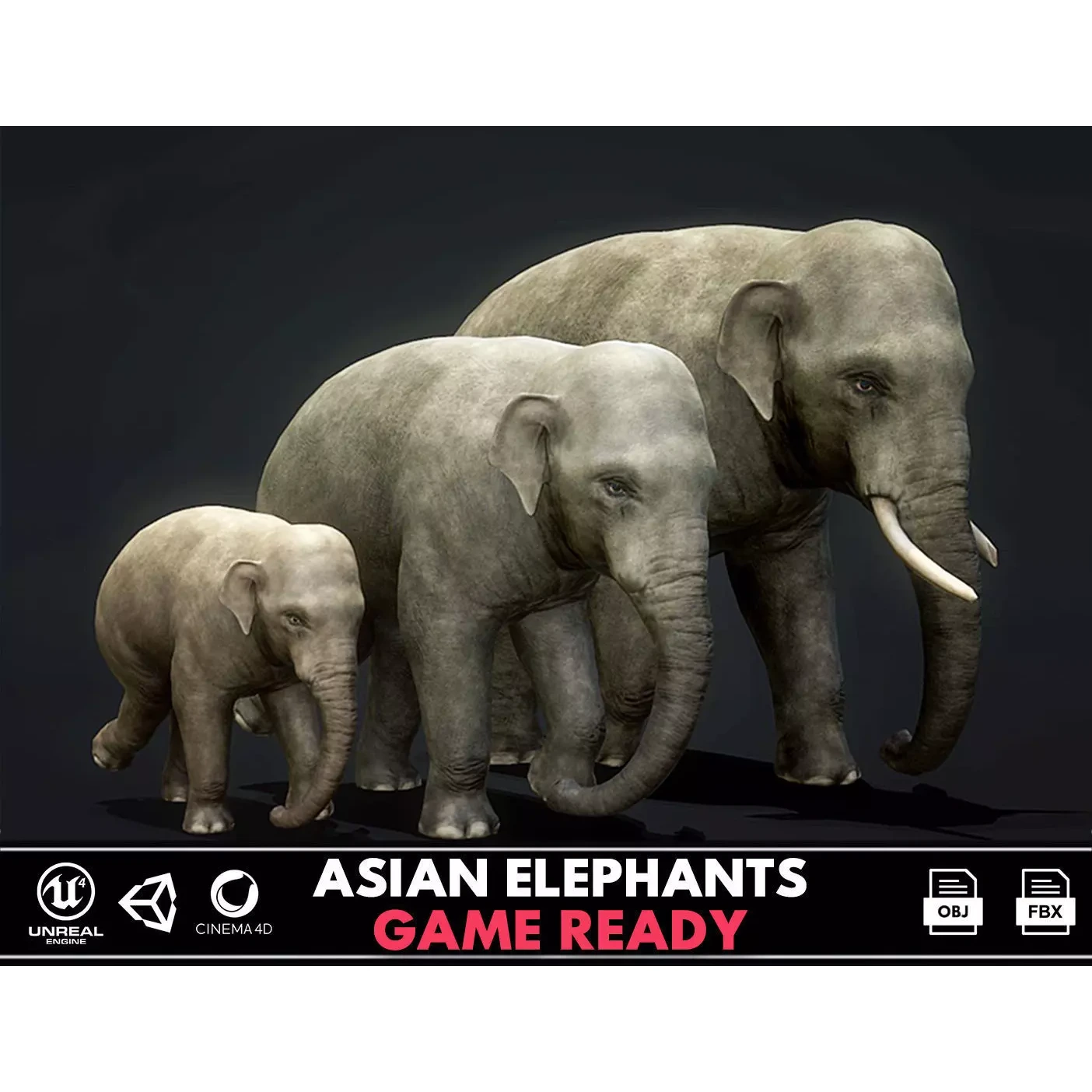 Asian Elephants - GameReady Low-poly 3D model