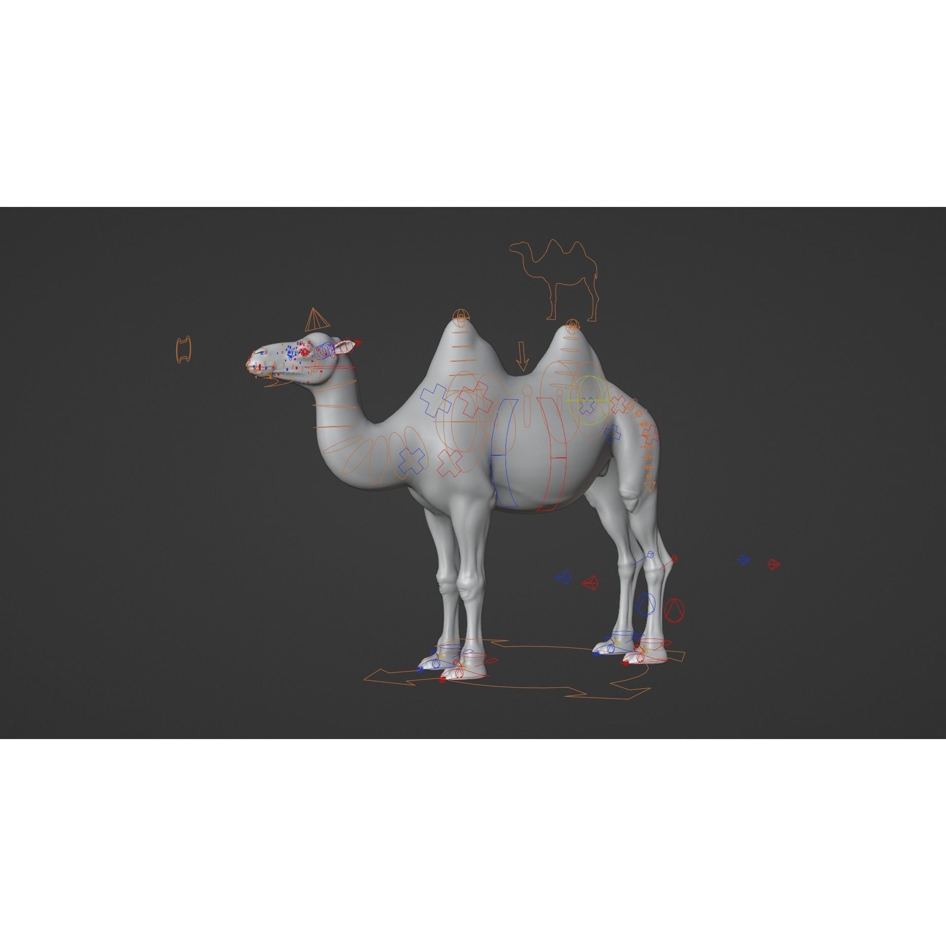 Bactrian Camel Animated VFX Grace 3D model 7