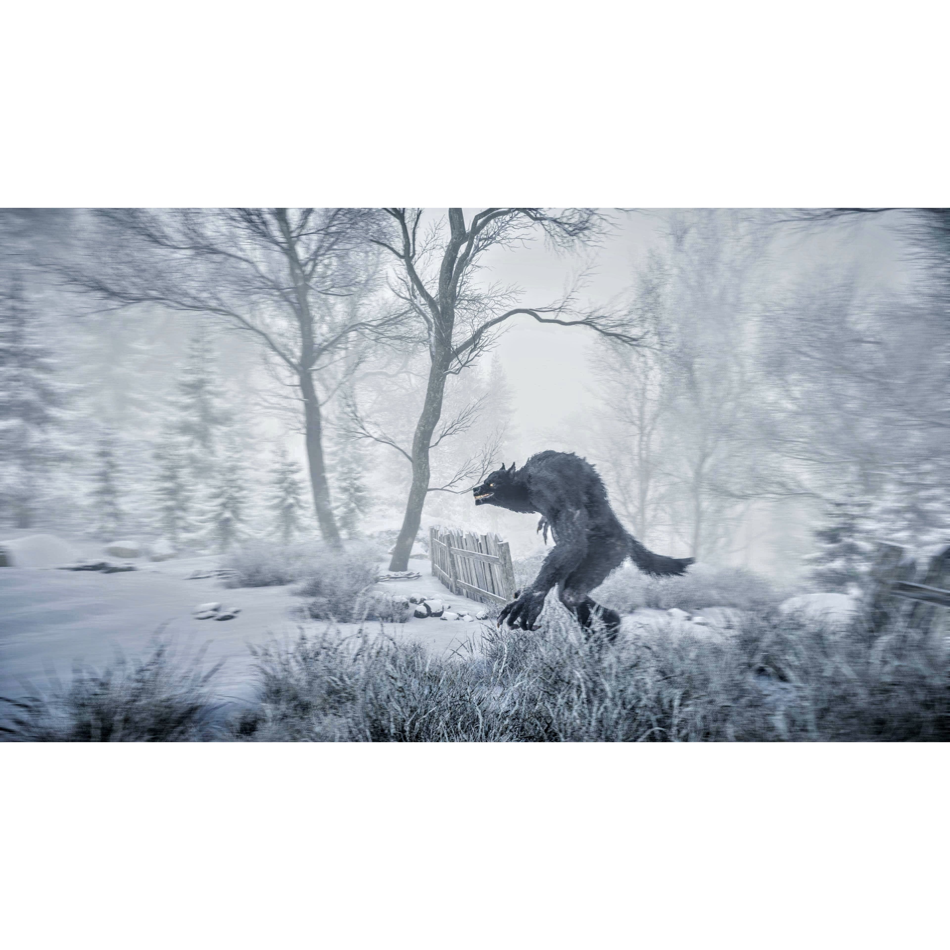 Baruk the Werewolf Low-poly 3D model 2