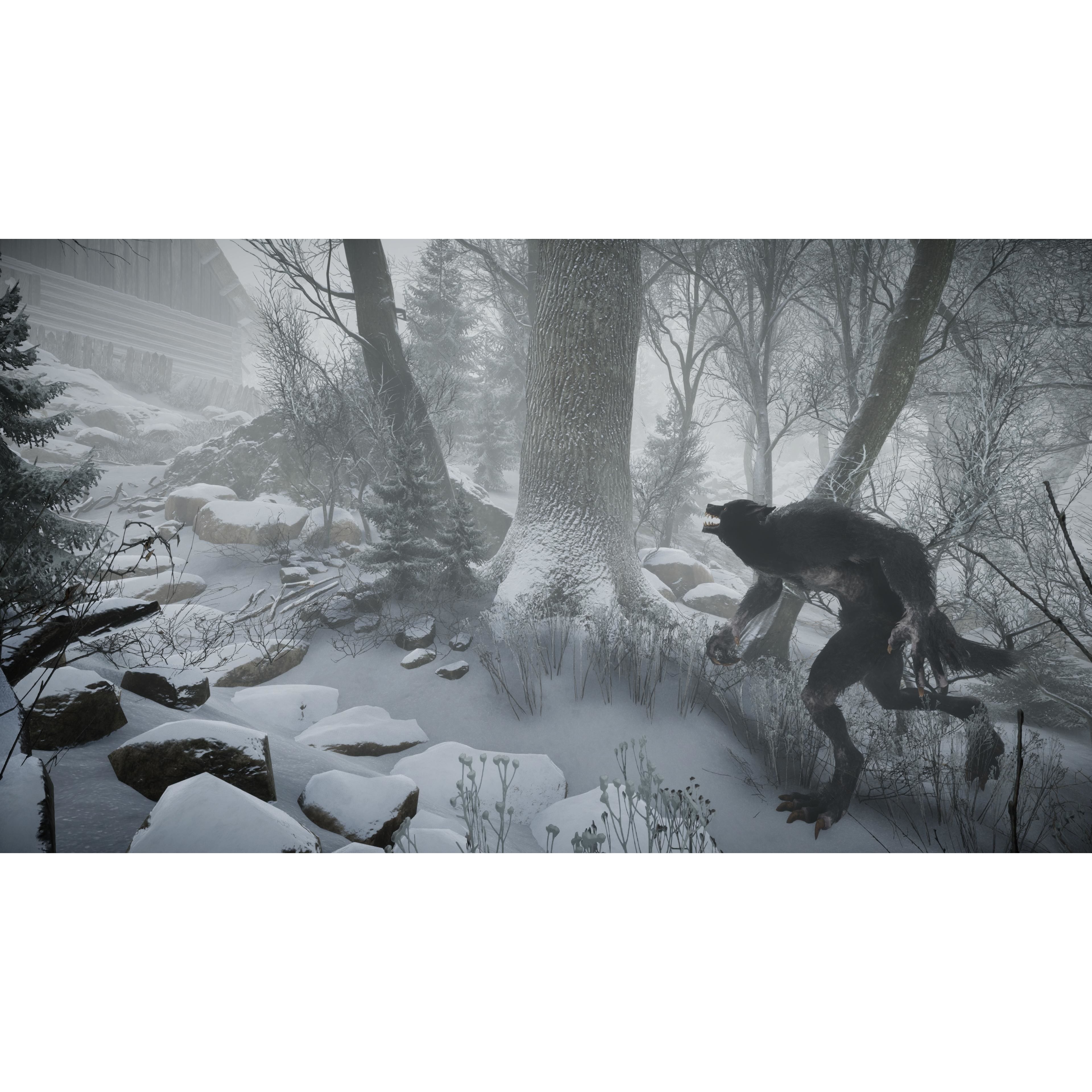 Baruk the Werewolf Low-poly 3D model 4