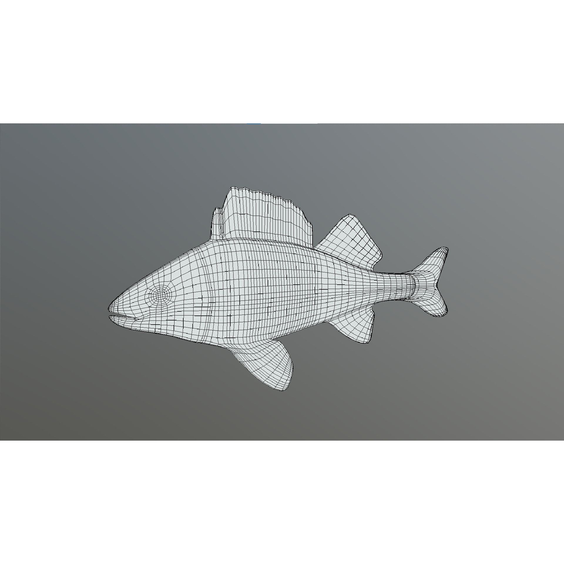 Bass - Fish Free low-poly 3D model 2