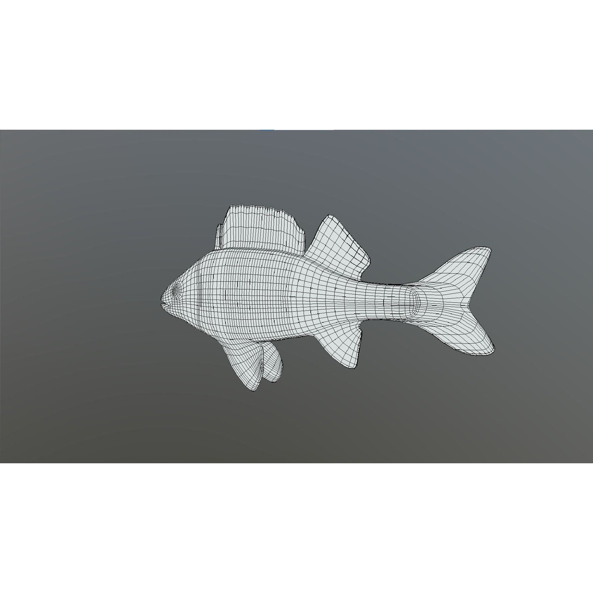 Bass - Fish Free low-poly 3D model 3