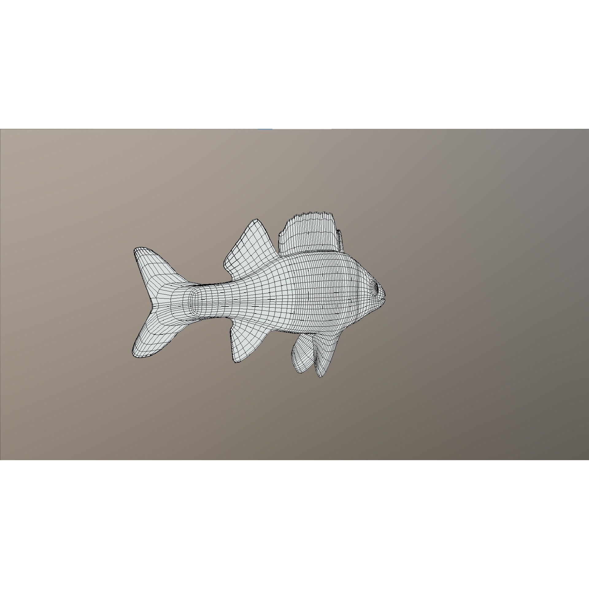 Bass - Fish Free low-poly 3D model 6