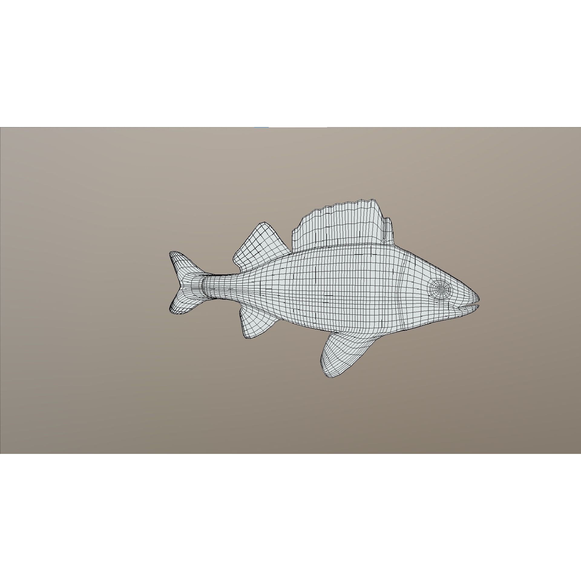 Bass - Fish Free low-poly 3D model 7