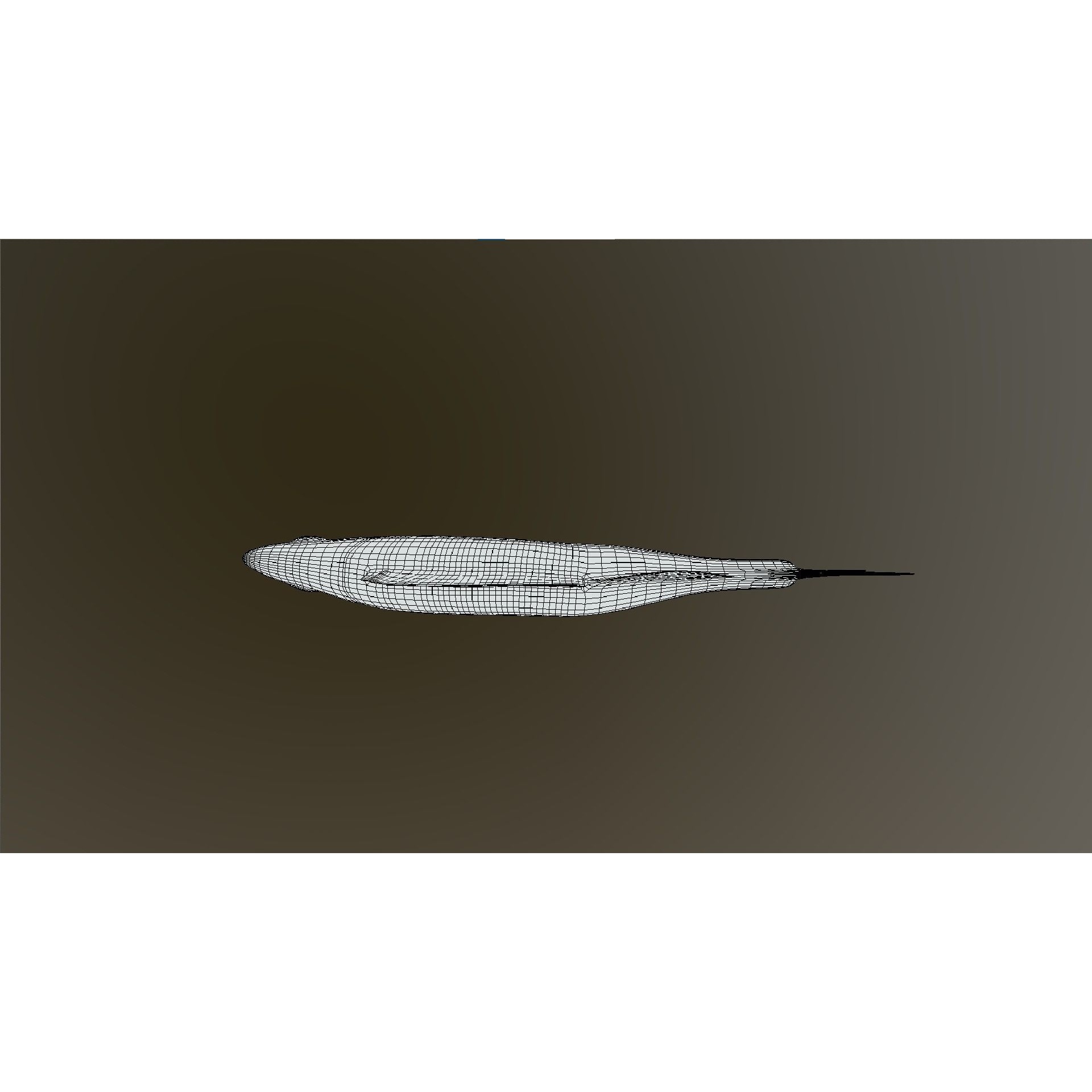 Bass - Fish Free low-poly 3D model 9