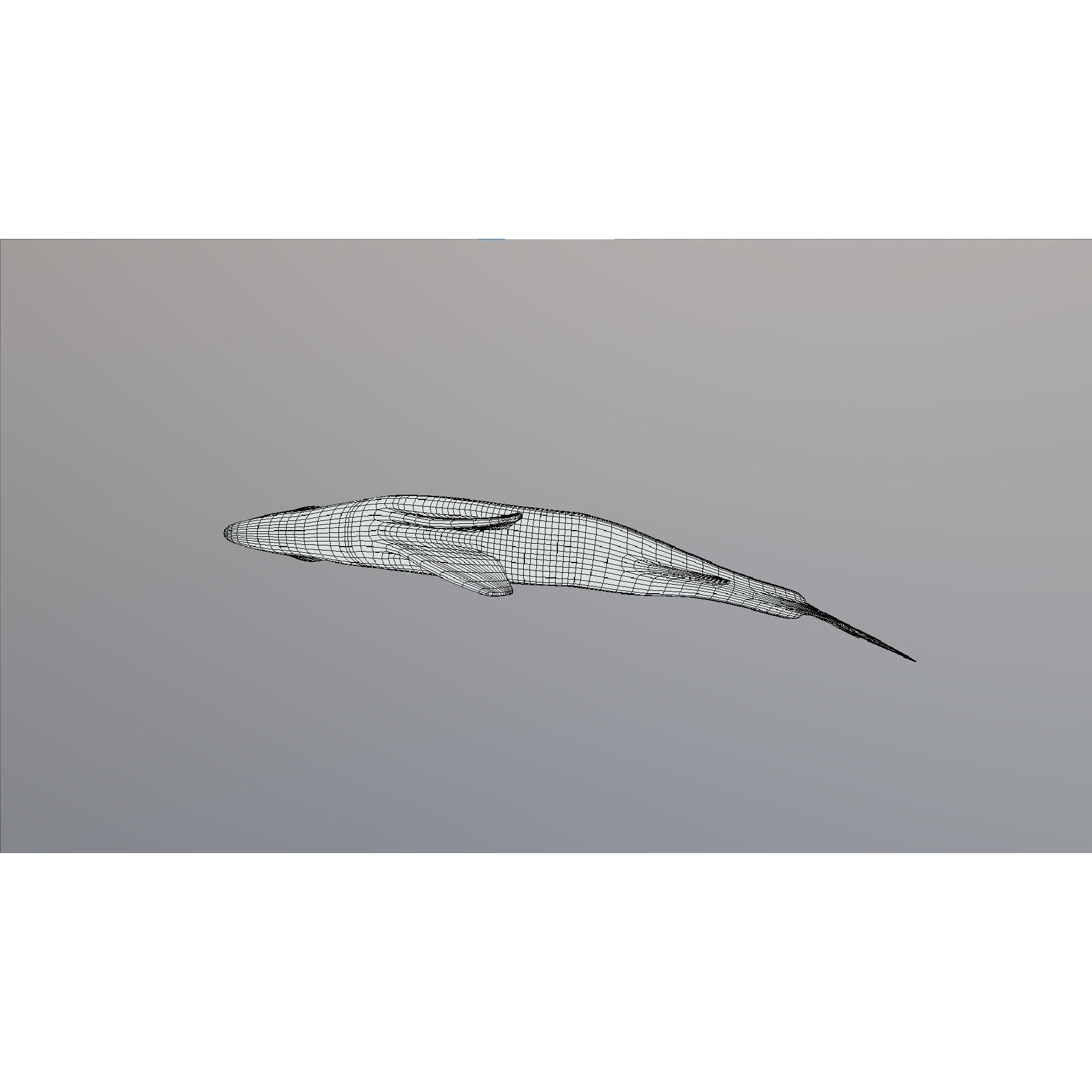 Bass - Fish Free low-poly 3D model 10