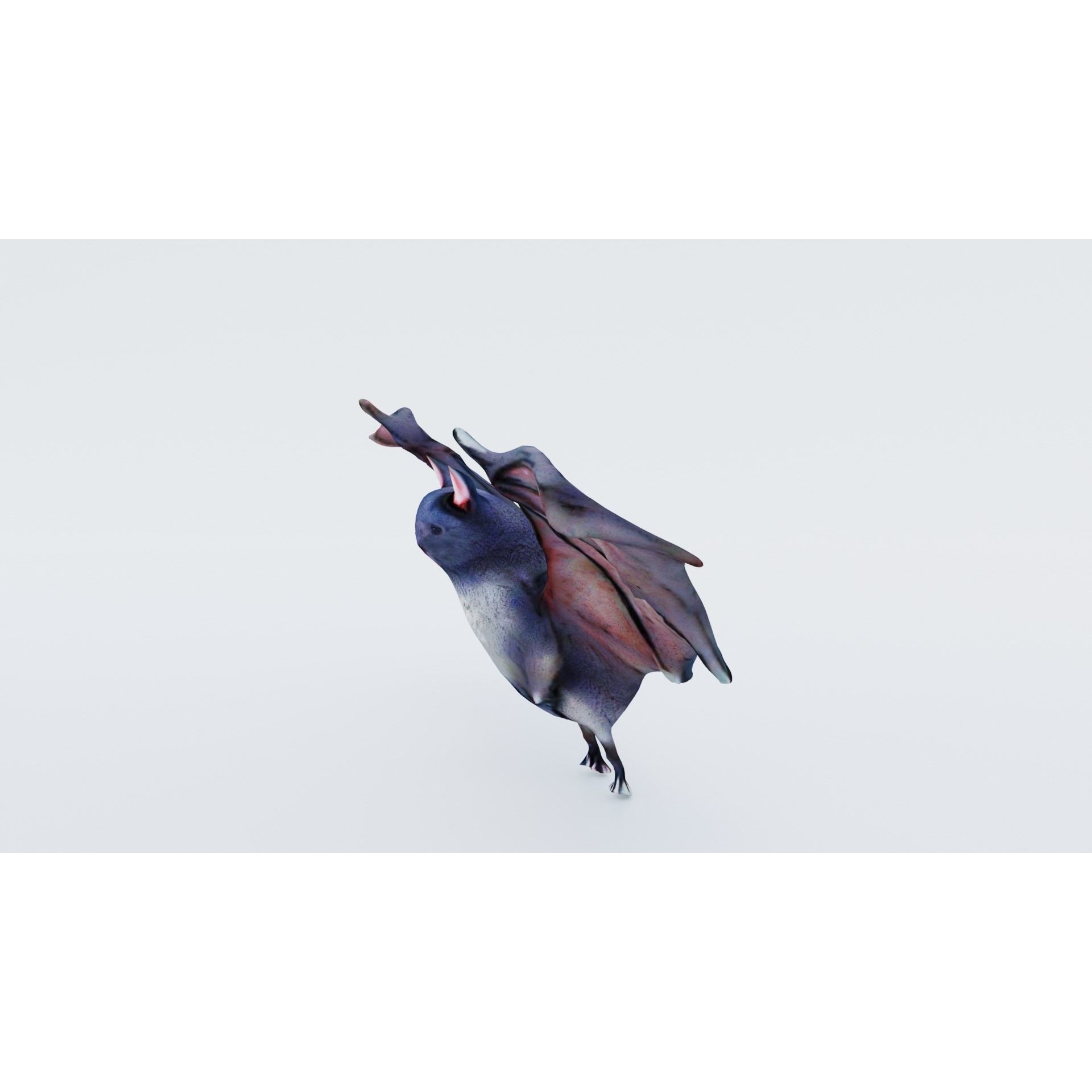 Bat Animal Free 3D model 2