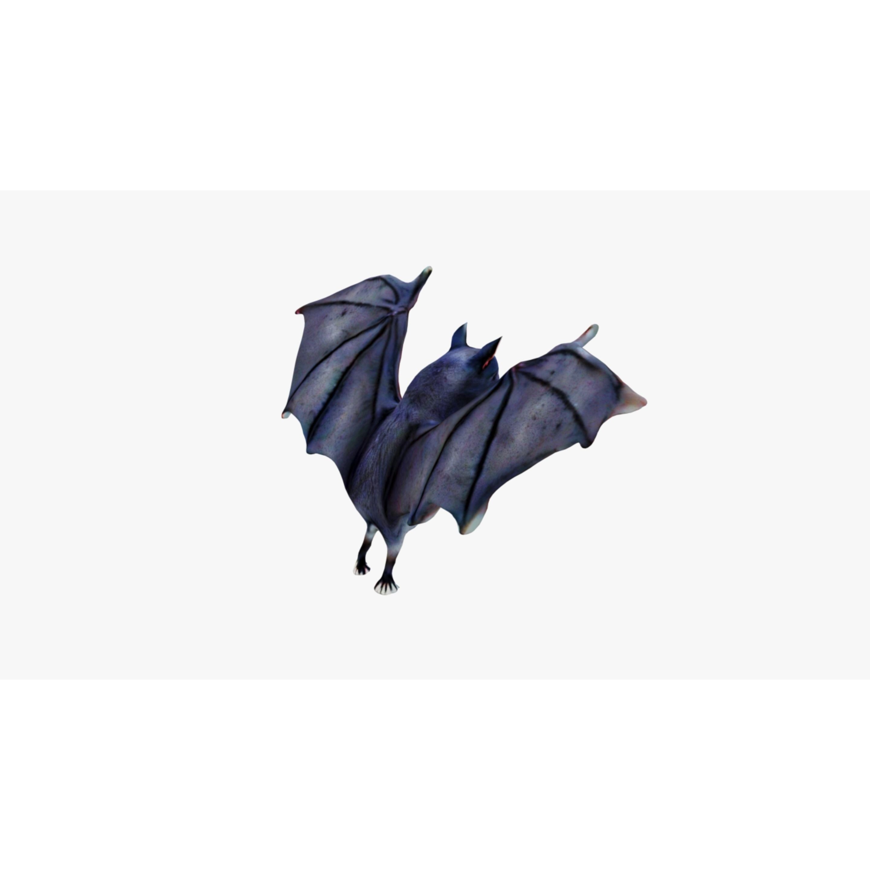 Bat Animal Free 3D model 5