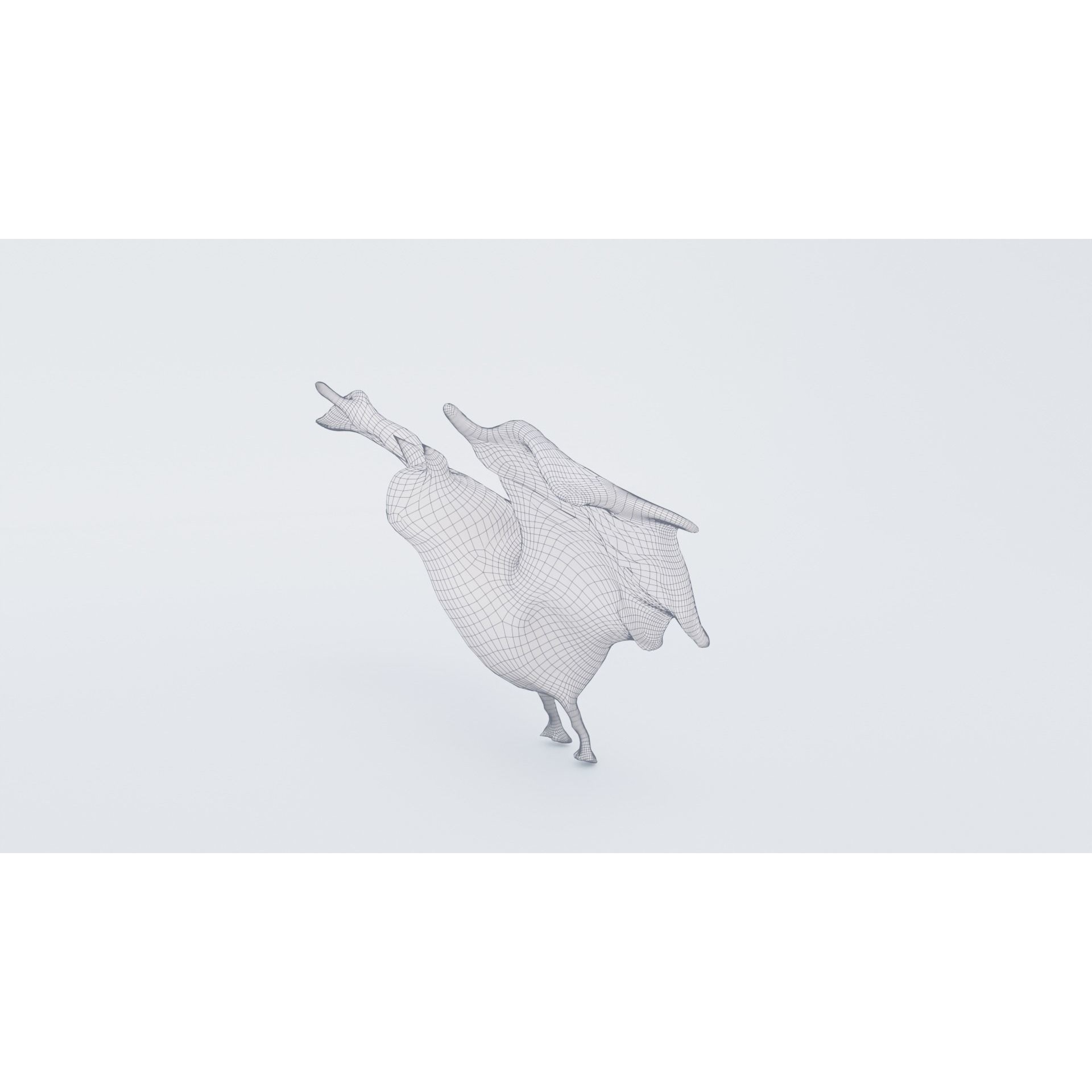 Bat Animal Free 3D model 7