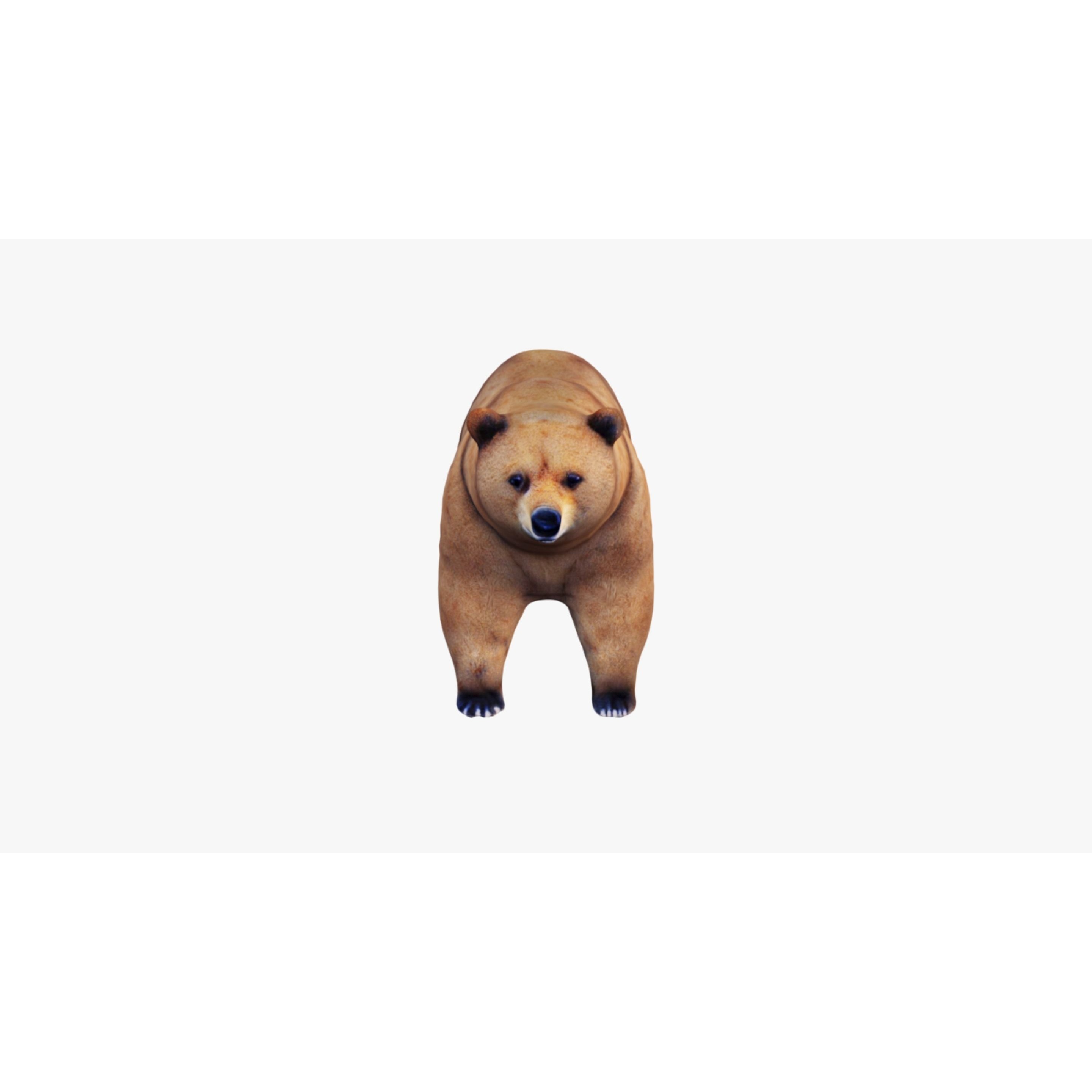 Bear Animal Free 3D model 3