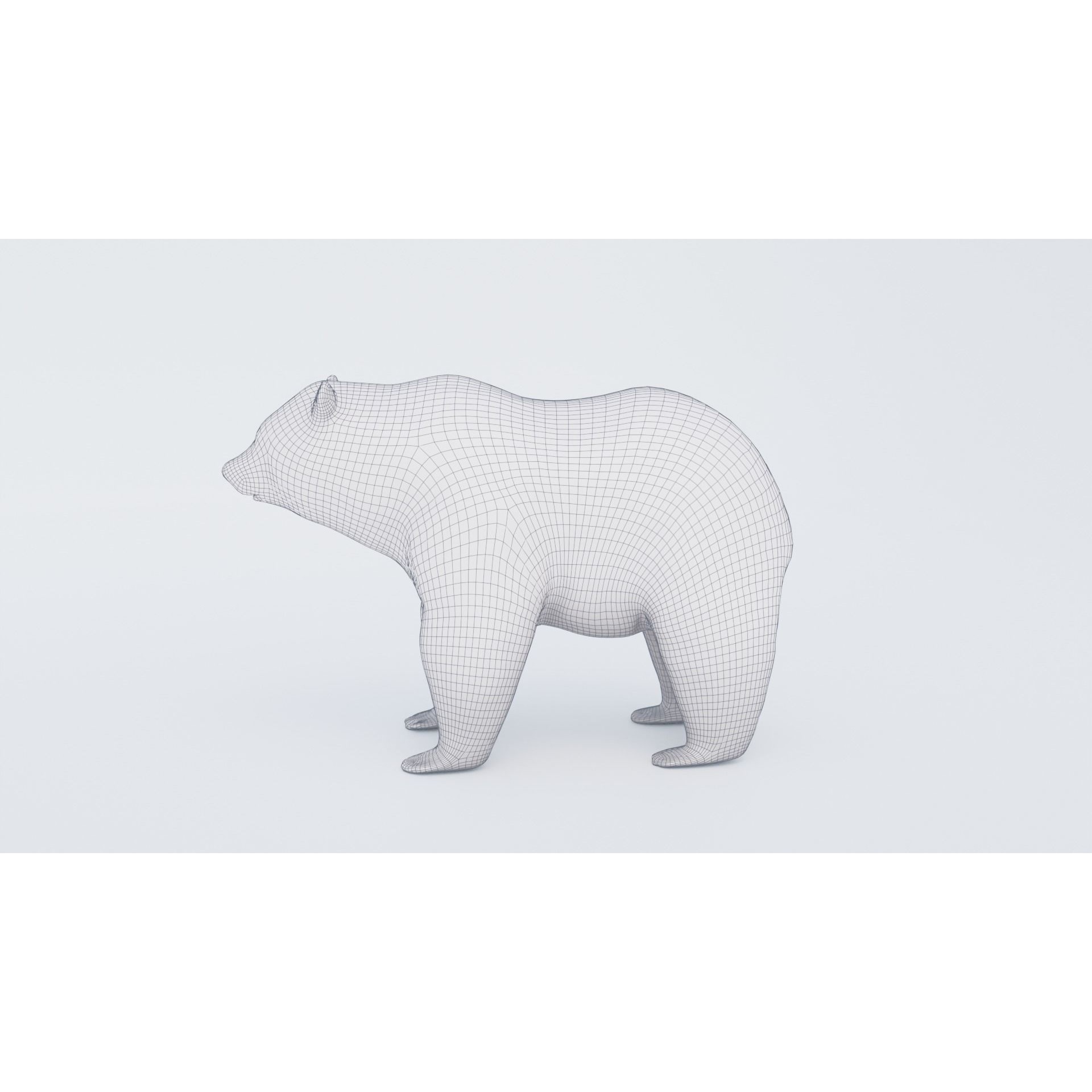 Bear Animal Free 3D model 7