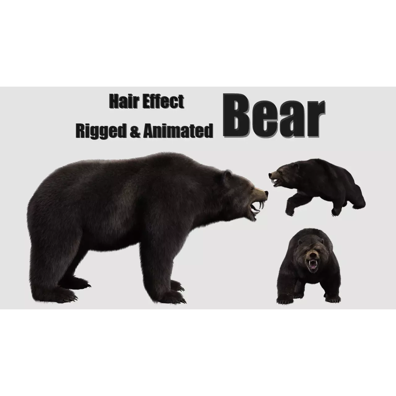 bear grizzly brown bear black bear Low-poly 3D model