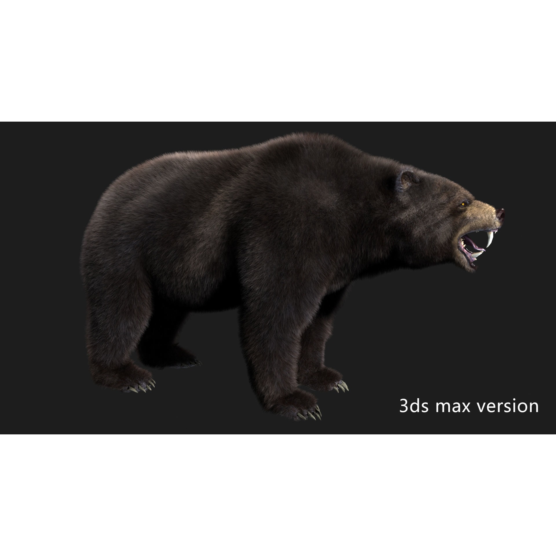 bear grizzly brown bear black bear Low-poly 3D model 2