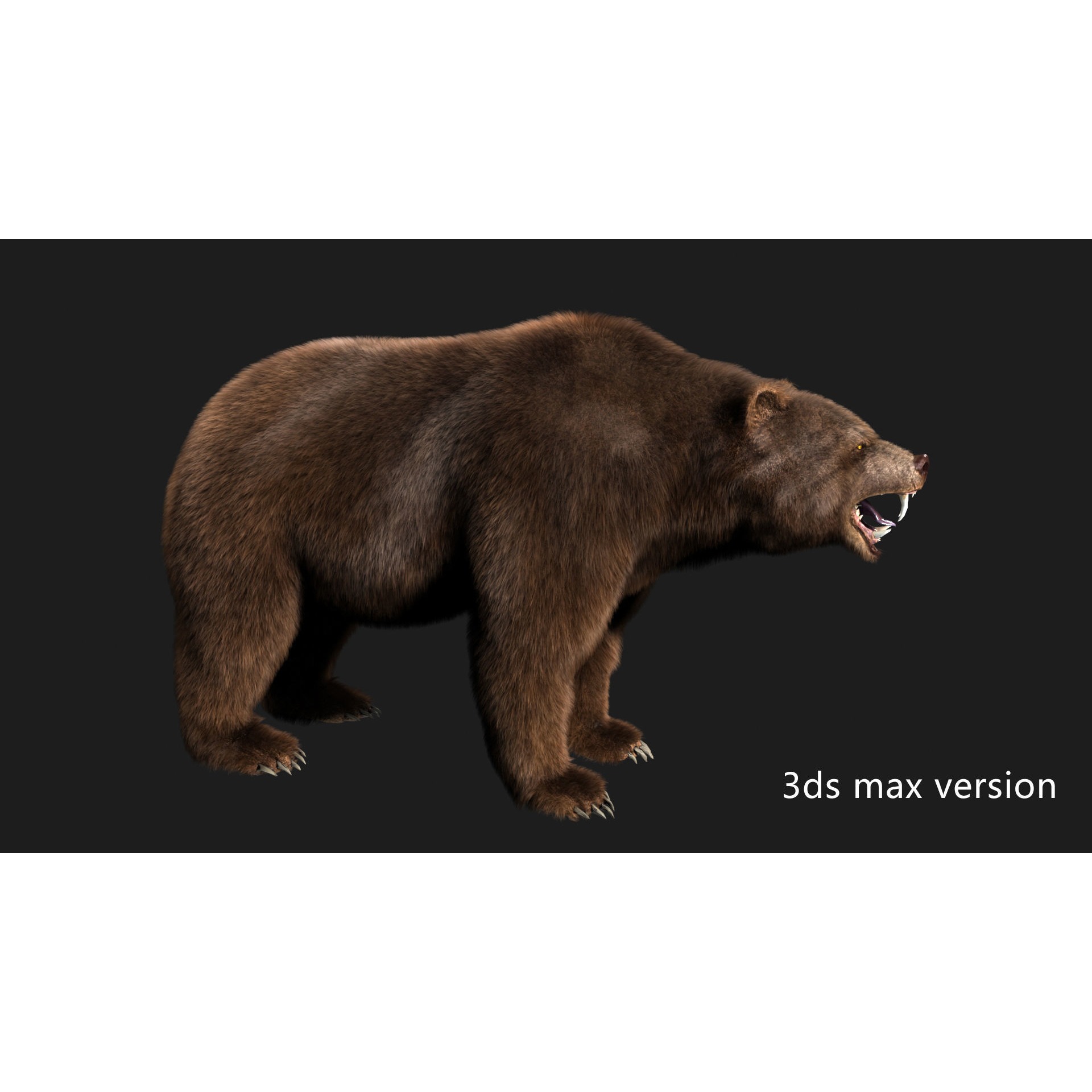 bear grizzly brown bear black bear Low-poly 3D model 3