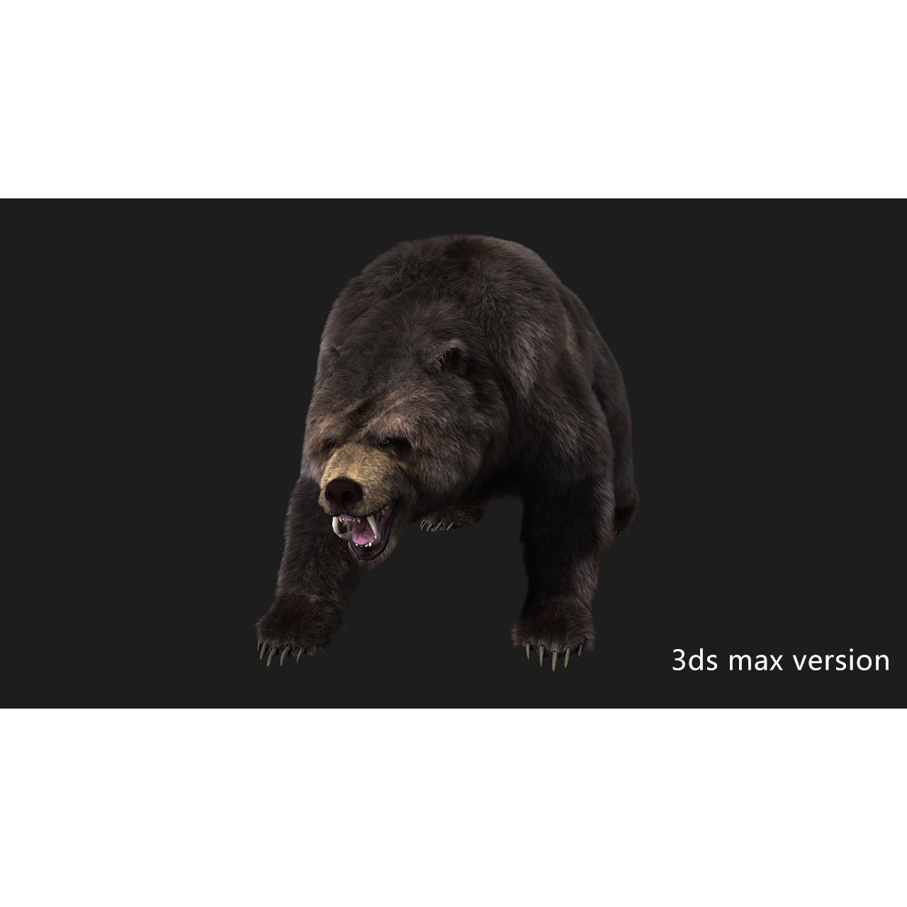 bear grizzly brown bear black bear Low-poly 3D model 4