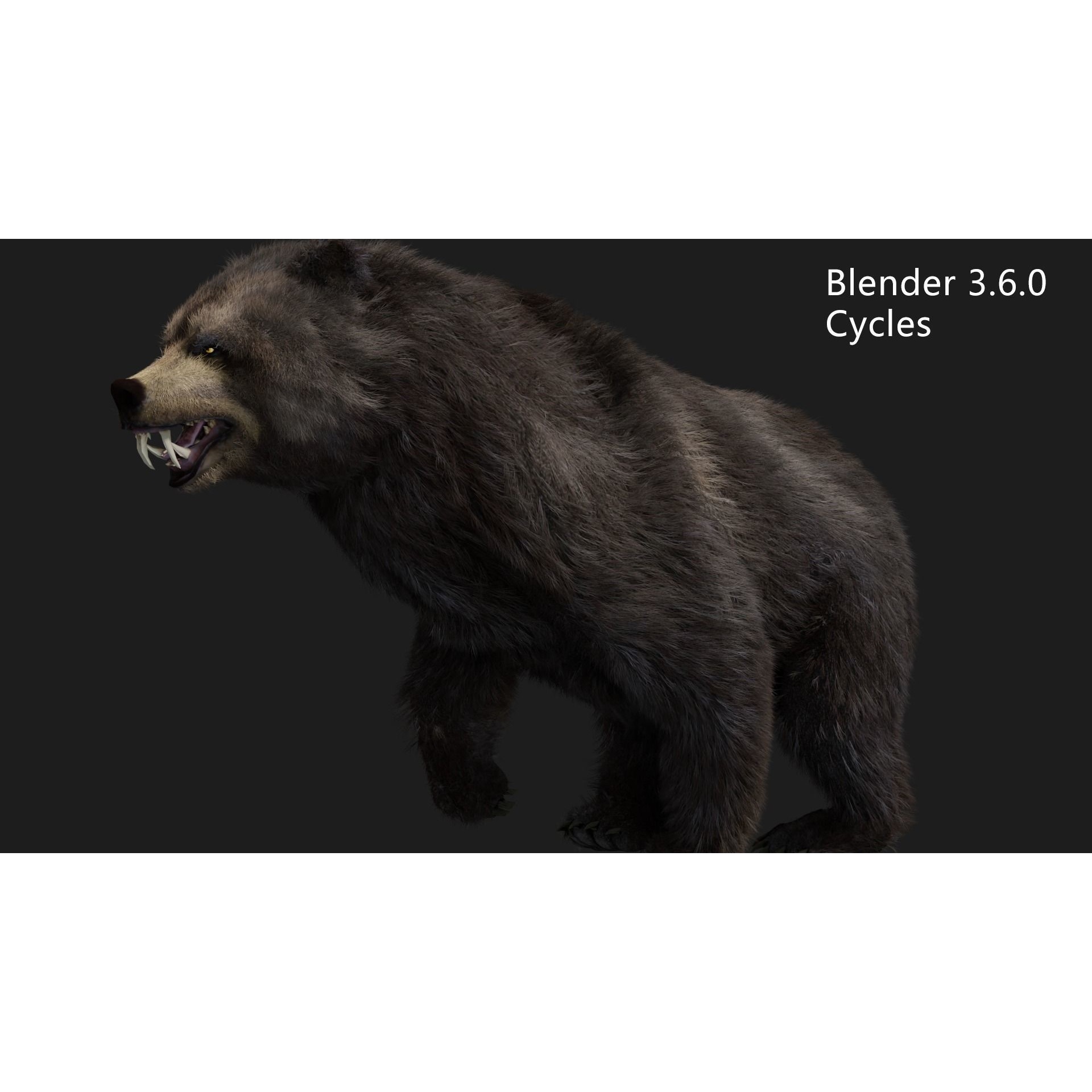 bear grizzly brown bear black bear Low-poly 3D model 6