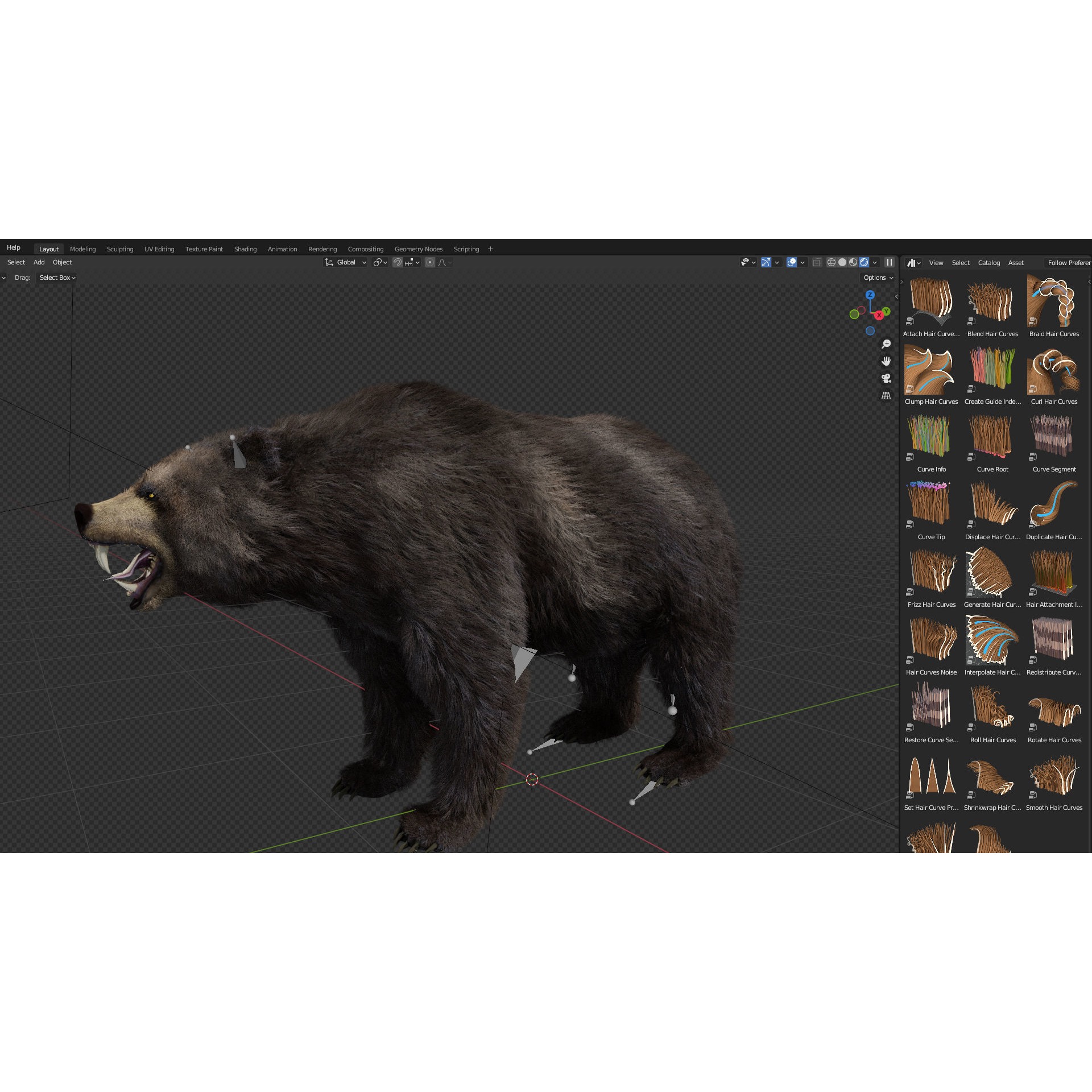bear grizzly brown bear black bear Low-poly 3D model 7