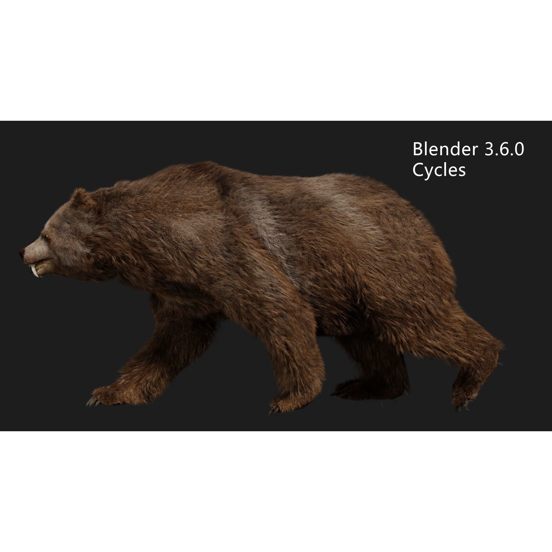 bear grizzly brown bear black bear Low-poly 3D model 8