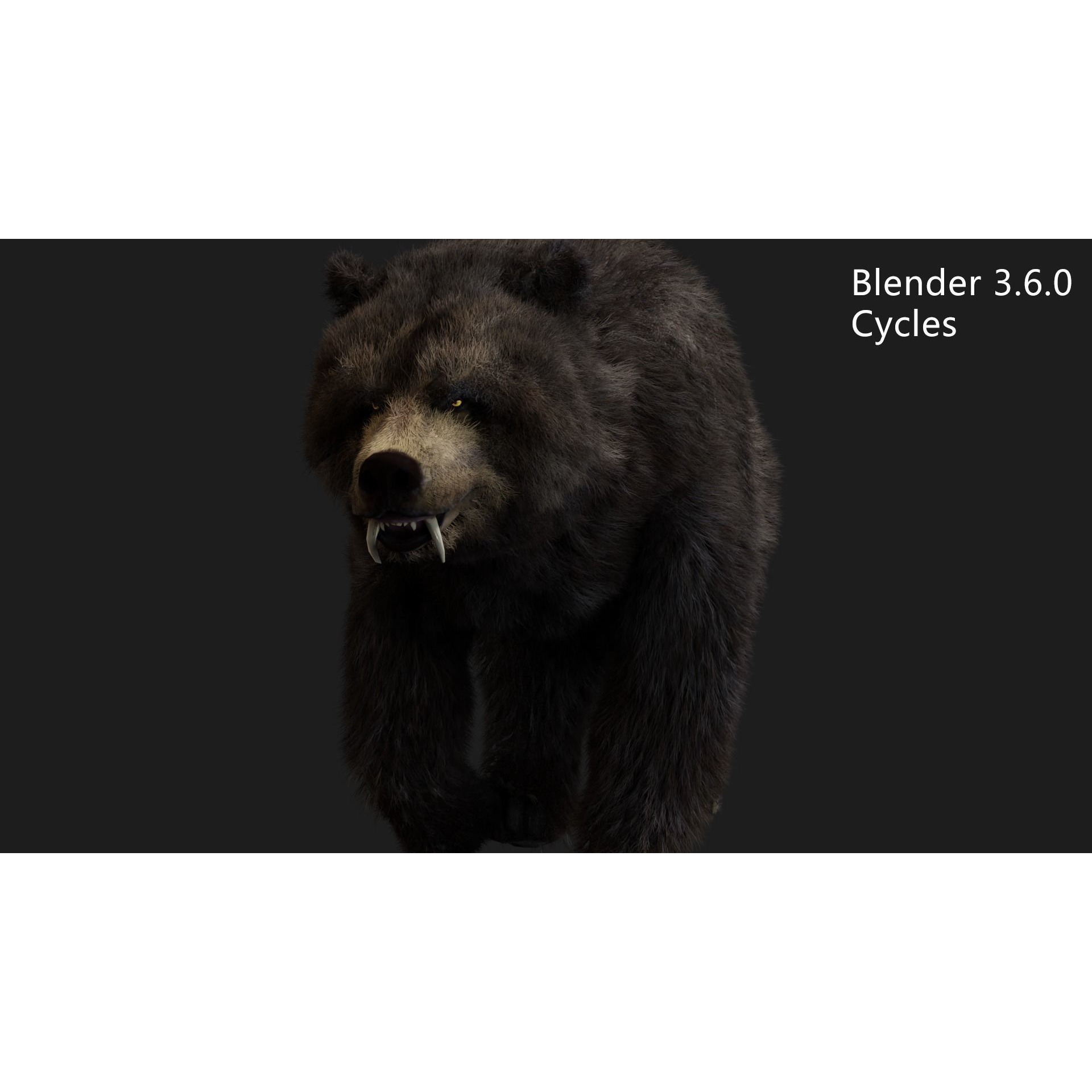 bear grizzly brown bear black bear Low-poly 3D model 9